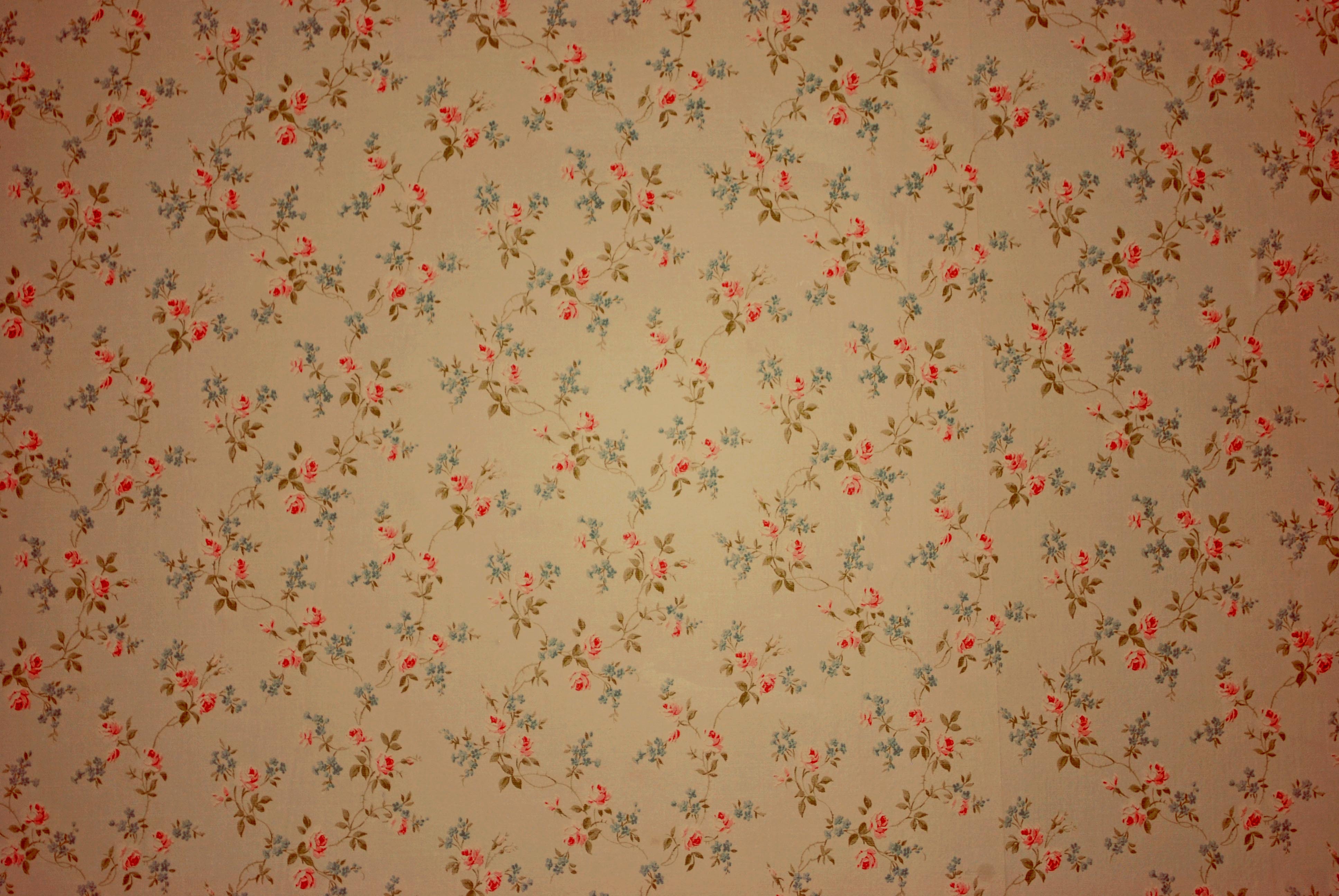 Grandma Computer Wallpapers Top Free Grandma Computer Backgrounds