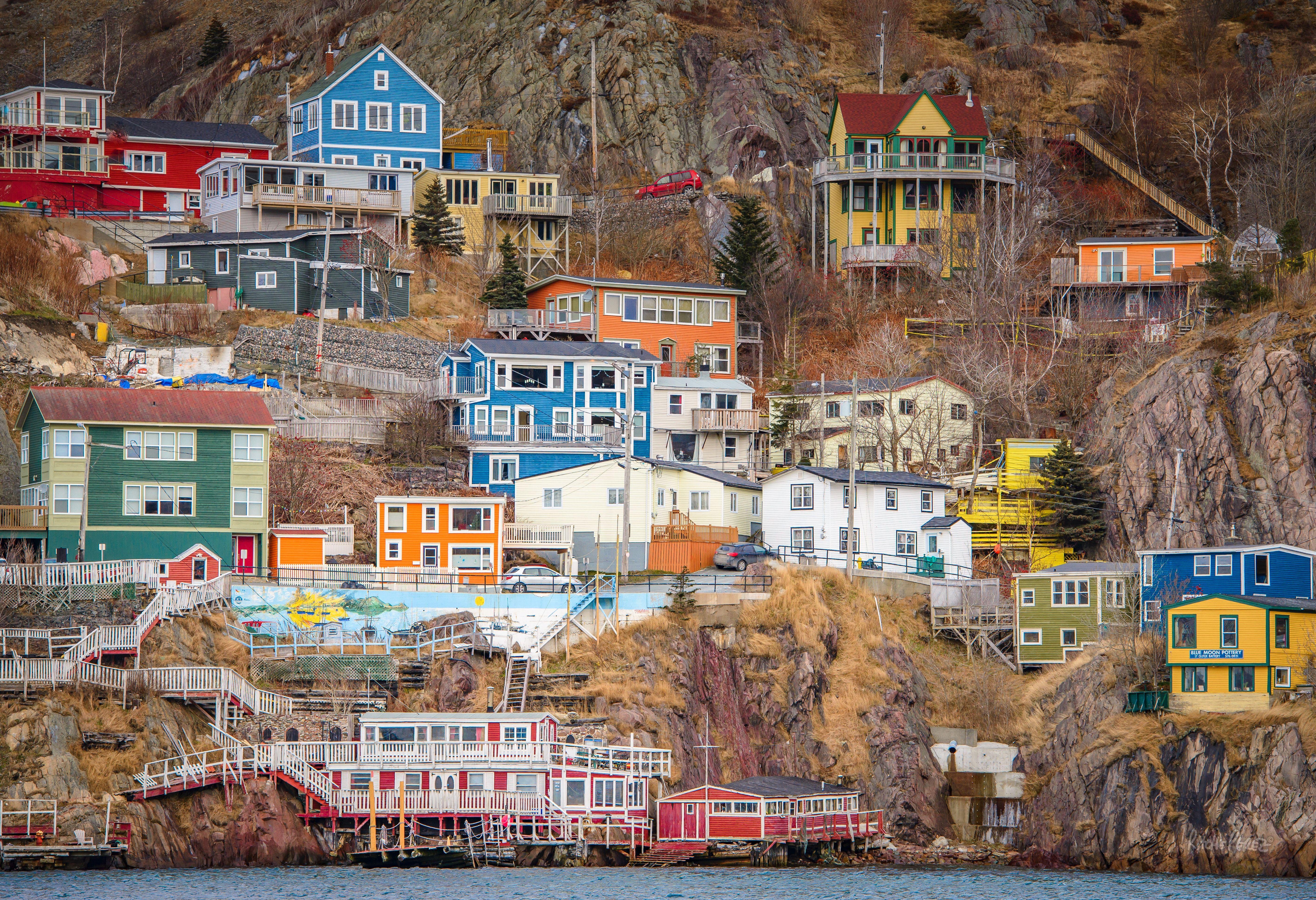 Newfoundland Wallpapers Top Free Newfoundland Backgrounds