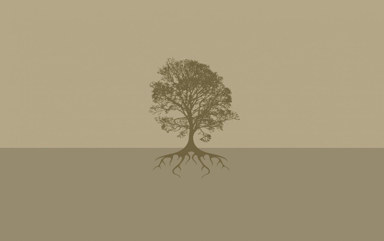 Simple Tree Wallpapers Top Free Simple Tree Backgrounds