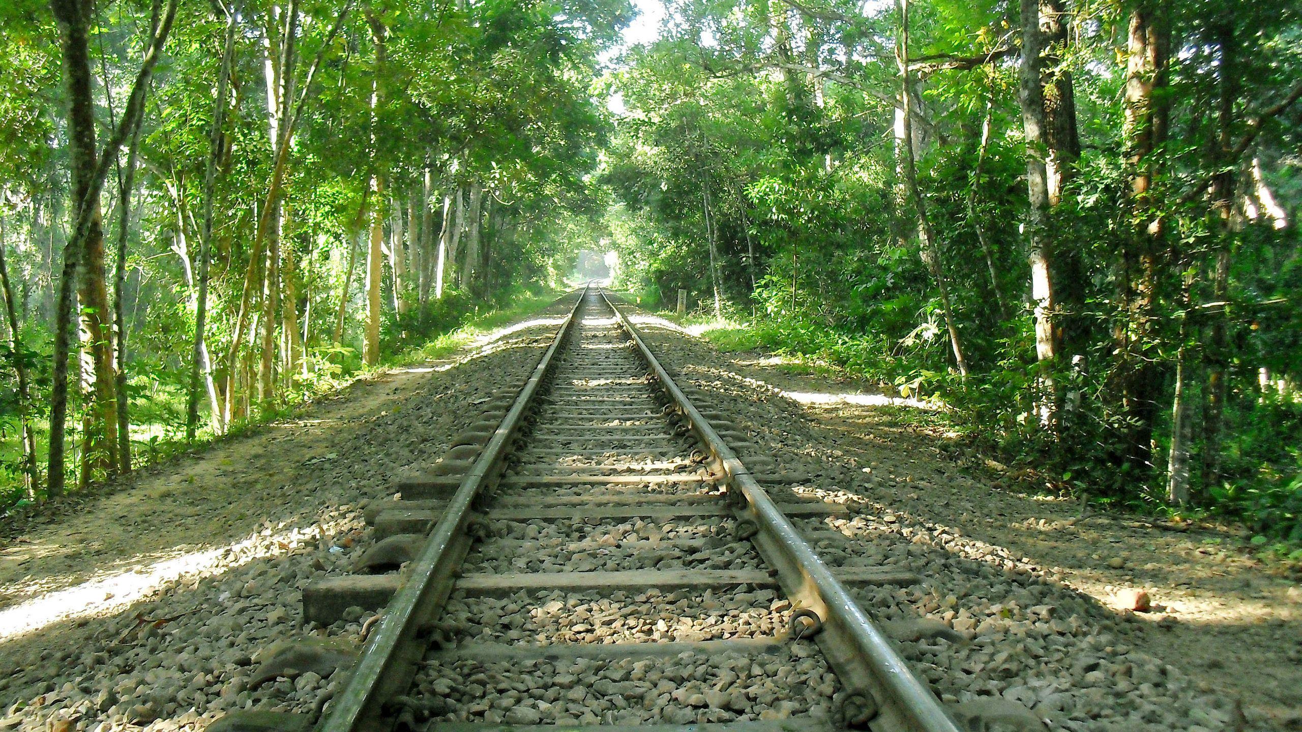 Bangladesh Wallpapers Top Free Bangladesh Backgrounds WallpaperAccess