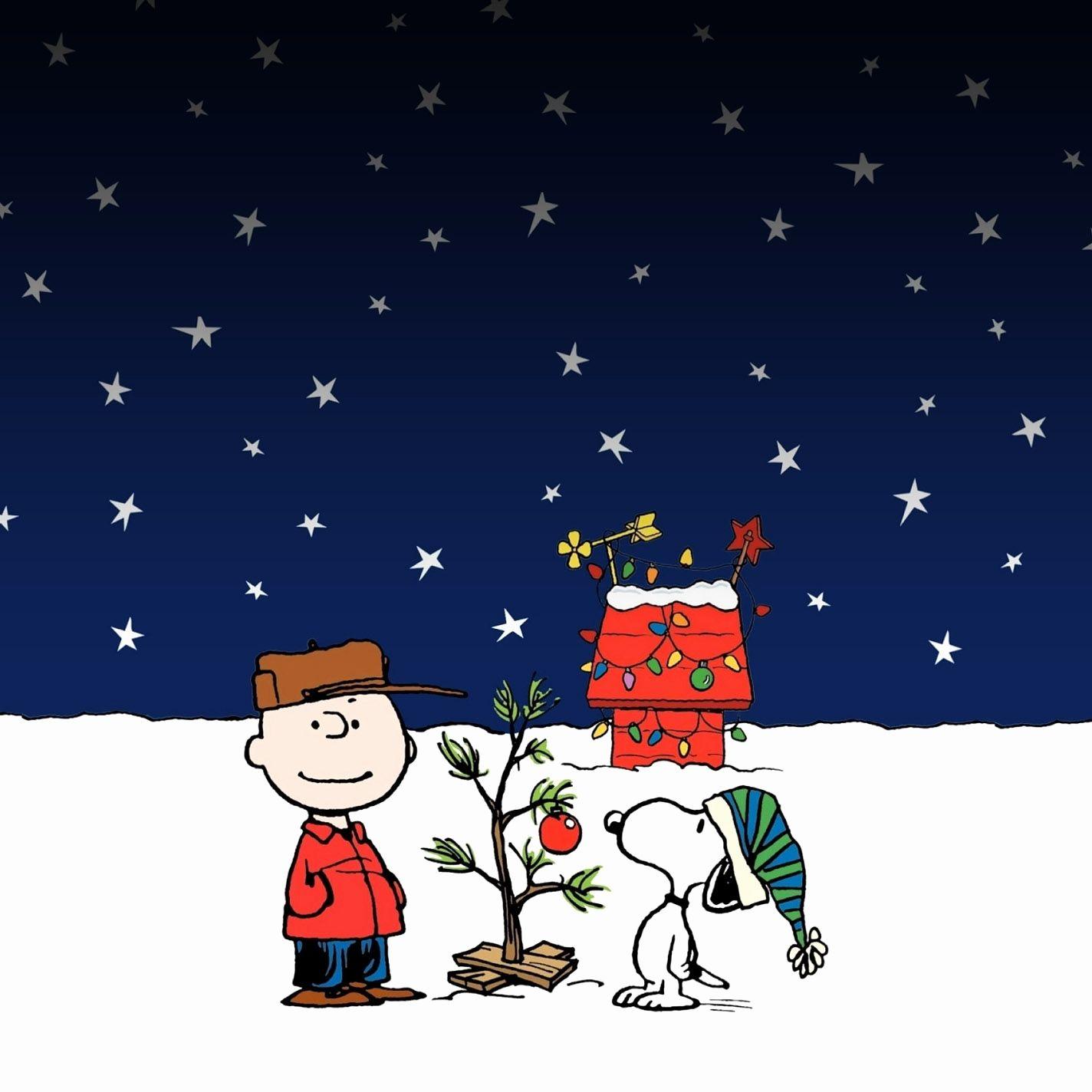 Snoopy Christmas Wallpapers Top Free Snoopy Christmas Backgrounds