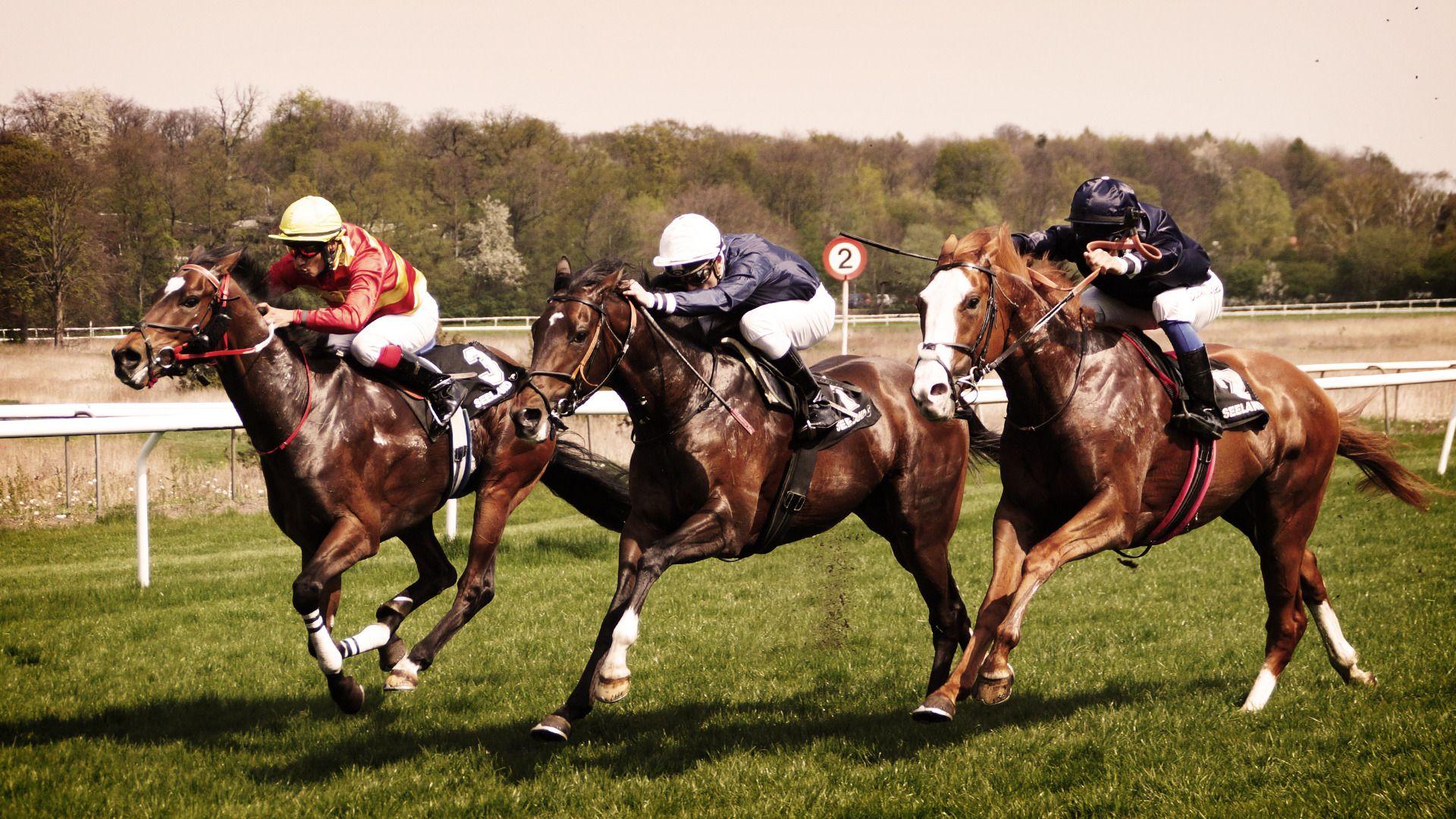 Horse Racing Wallpapers Top Free Horse Racing Backgrounds