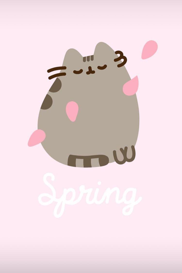 UwU Wallpapers Top Free UwU Backgrounds WallpaperAccess