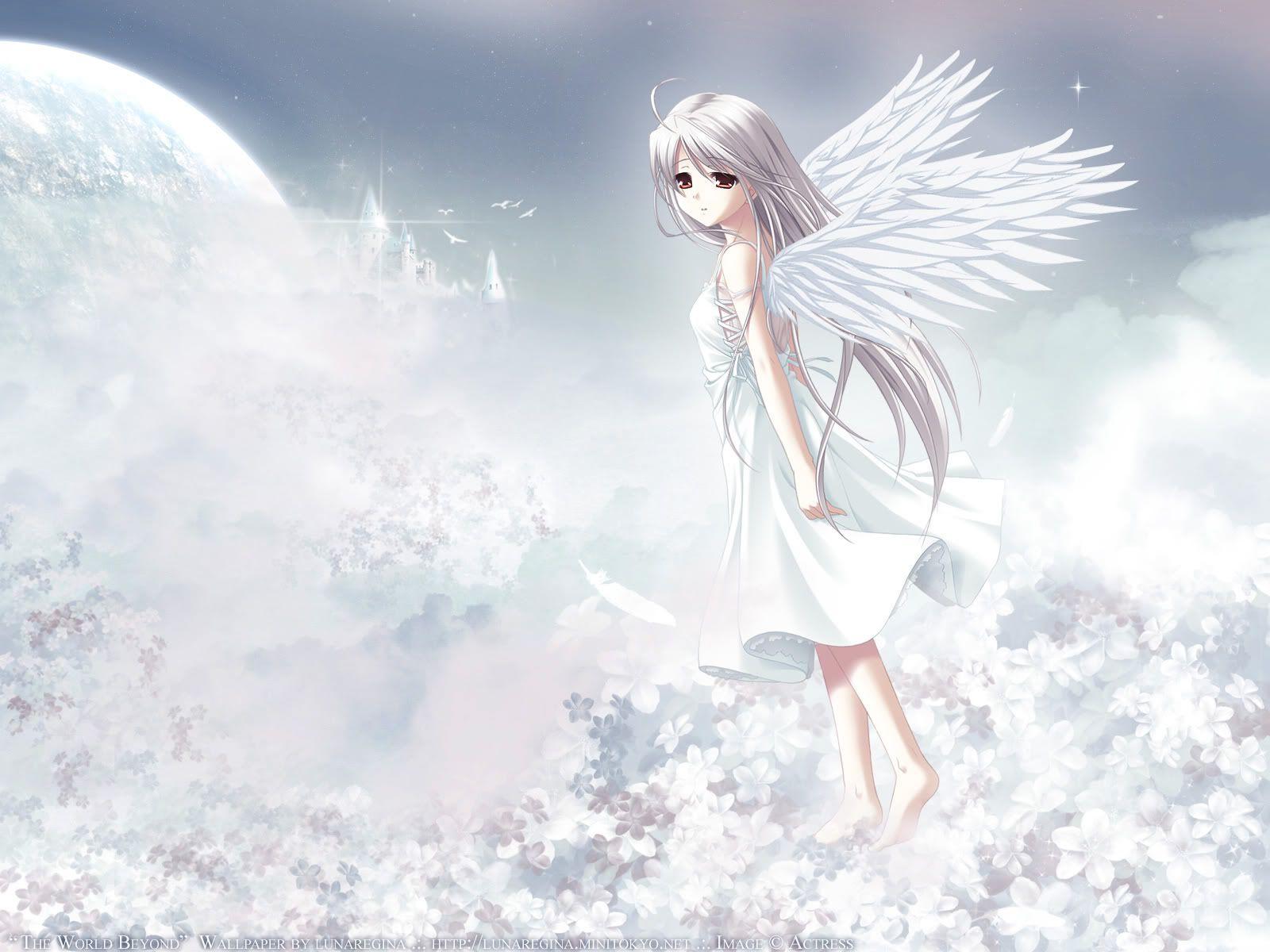 White Angel Wallpapers Top Free White Angel Backgrounds WallpaperAccess