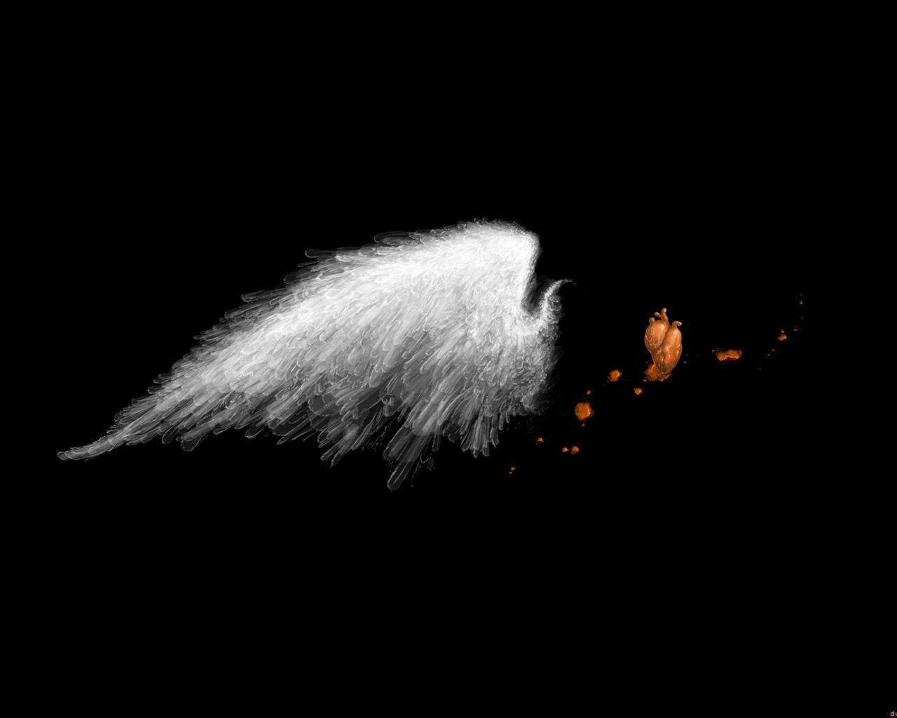 White Angel Wallpapers Top Free White Angel Backgrounds WallpaperAccess