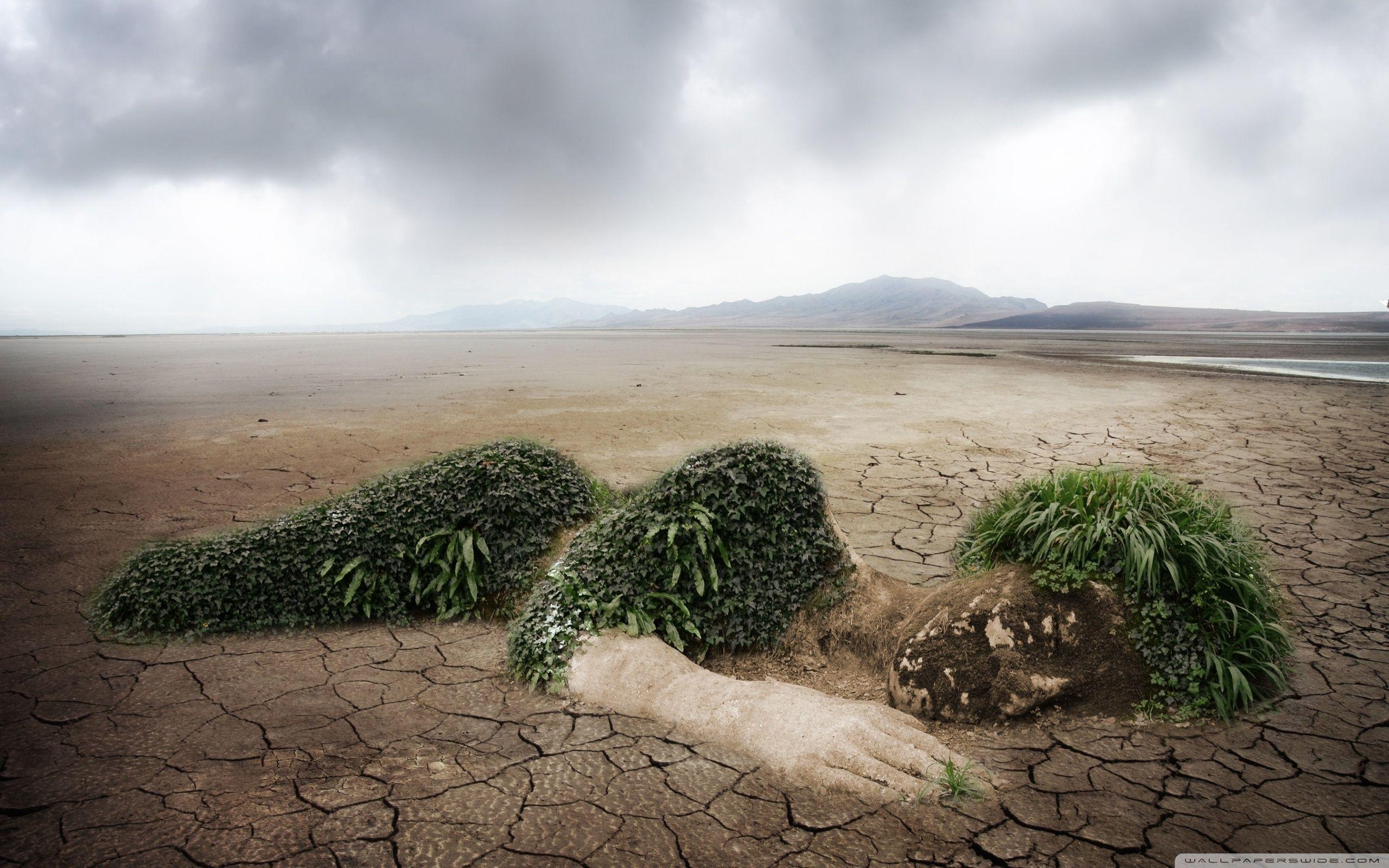 Deforestation Wallpapers Top Free Deforestation Backgrounds