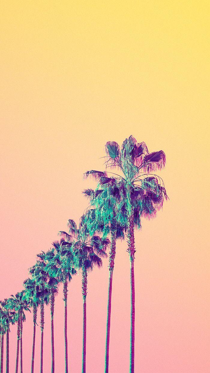 Aesthetic Palm Tree Wallpapers Top Free Aesthetic Palm Tree