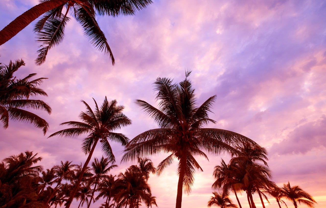 Pink Beach Sunset Desktop Wallpapers Top Free Pink Beach Sunset