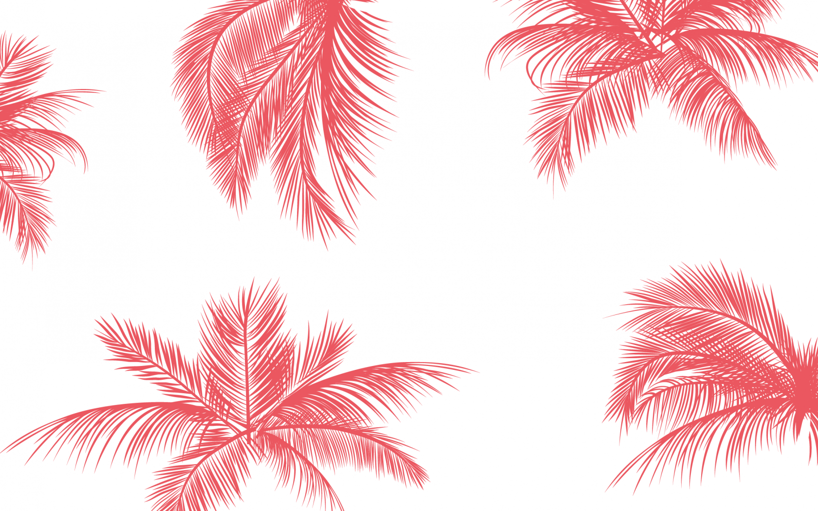 Pink Palm Wallpapers Top Free Pink Palm Backgrounds WallpaperAccess