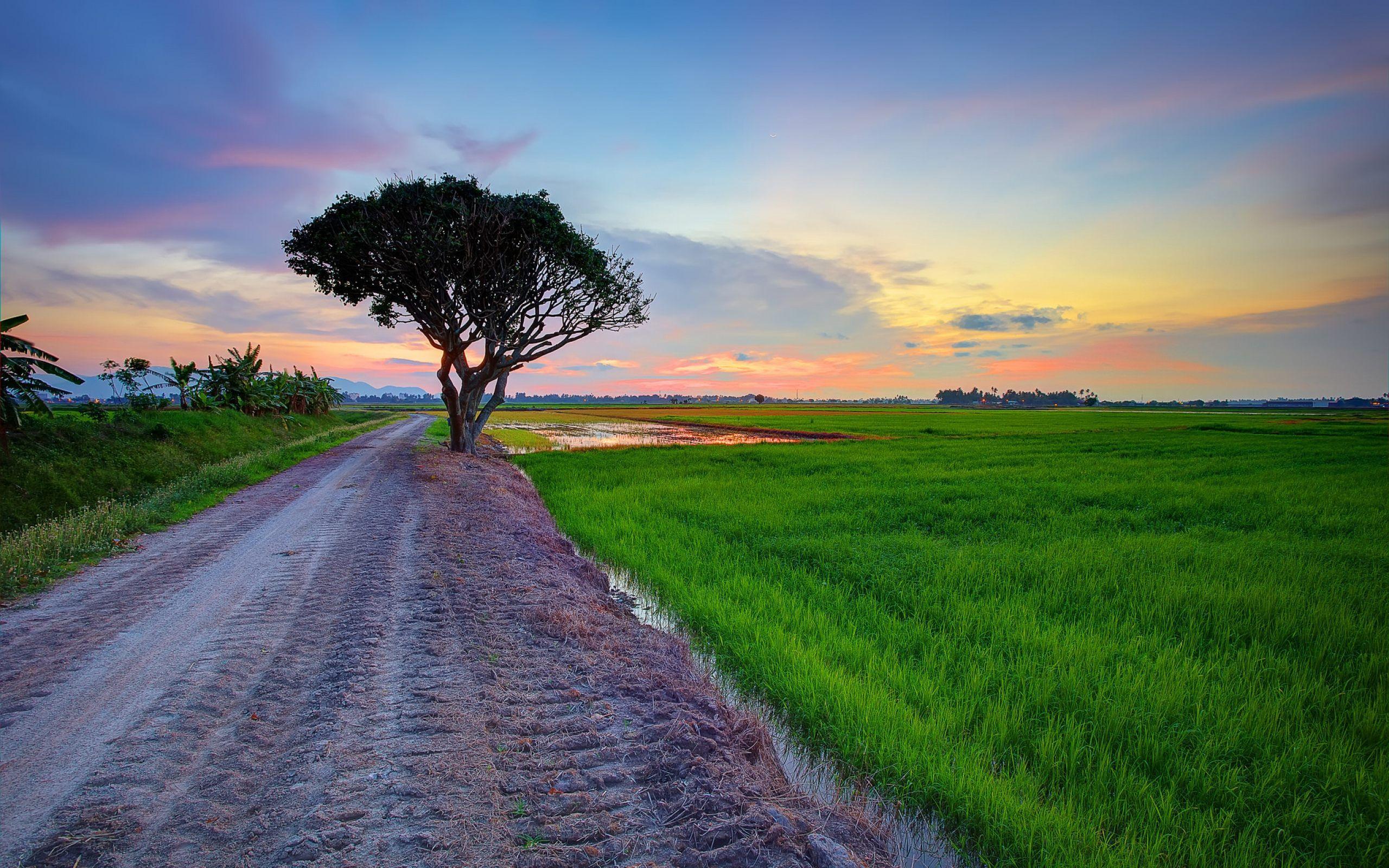 Vilage Rain Wallpapers Top Free Vilage Rain Backgrounds WallpaperAccess