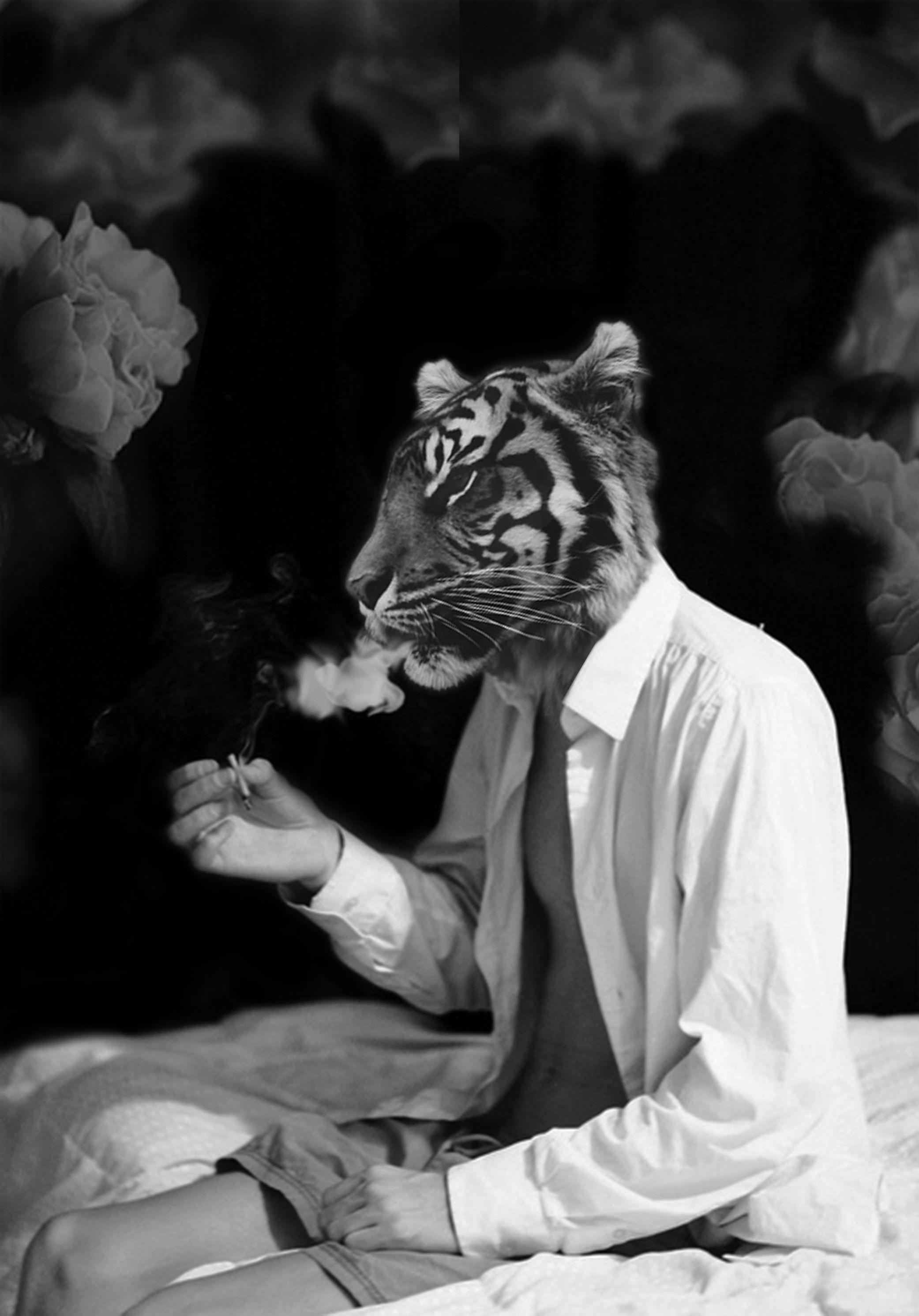 Trippy Tiger Wallpapers Top Free Trippy Tiger Backgrounds