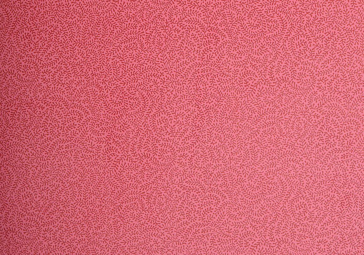 Coral Pink Wallpapers Top Free Coral Pink Backgrounds WallpaperAccess
