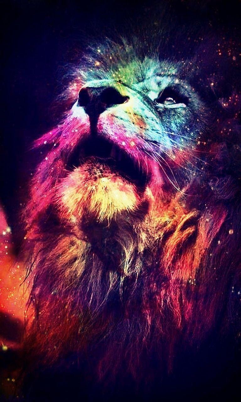 Rasta Lion Wallpaper Hd