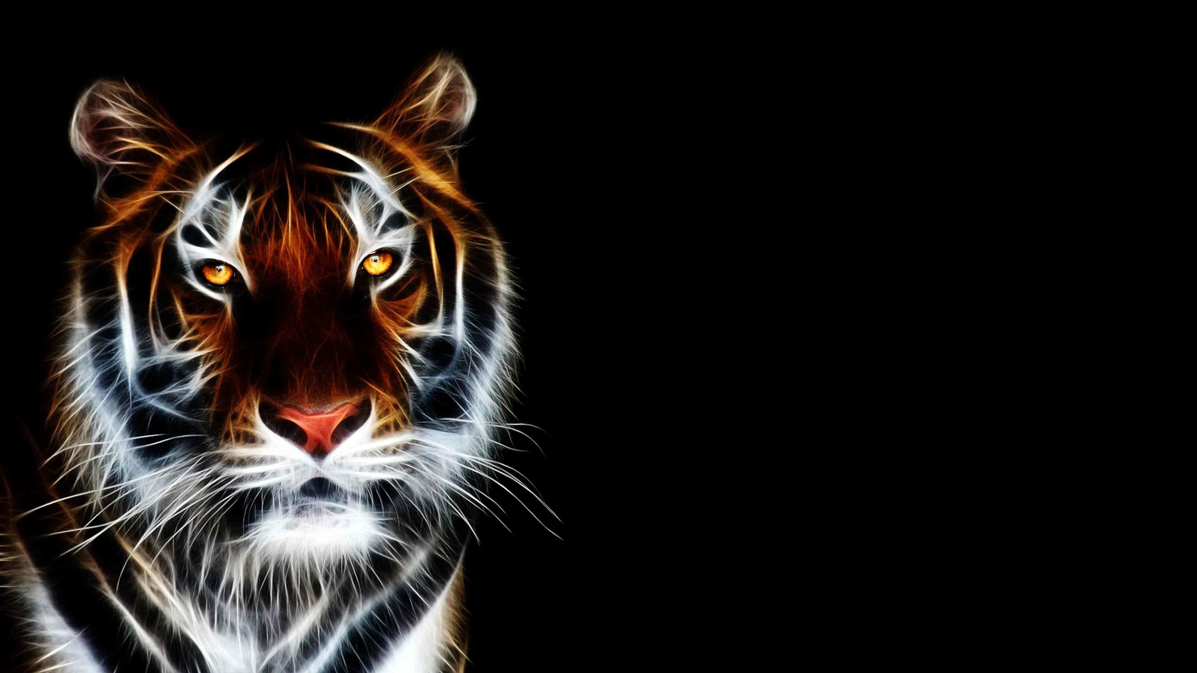 Trippy Tiger Wallpapers Top Free Trippy Tiger Backgrounds