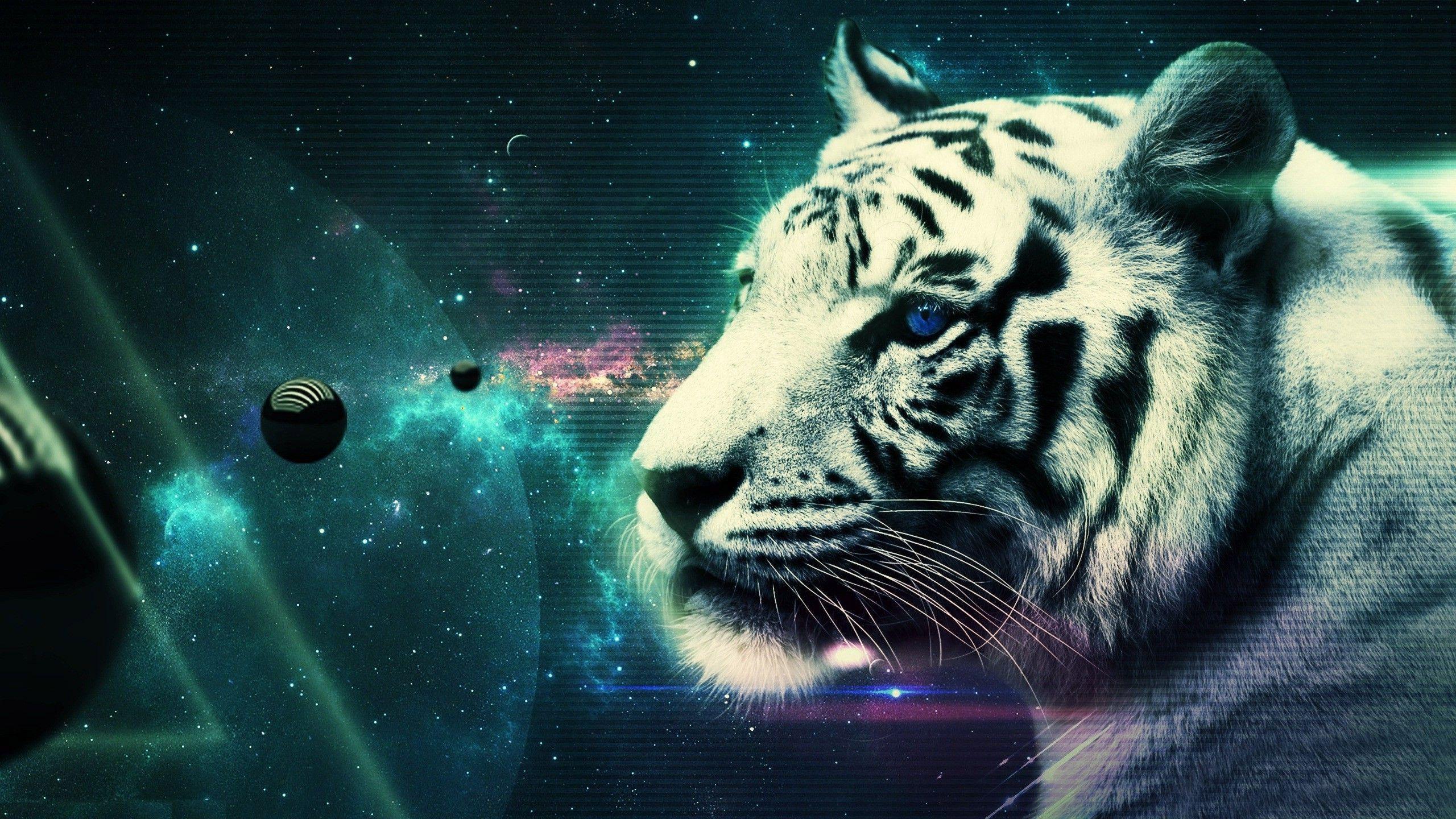 Trippy Tiger Wallpapers Top Free Trippy Tiger Backgrounds