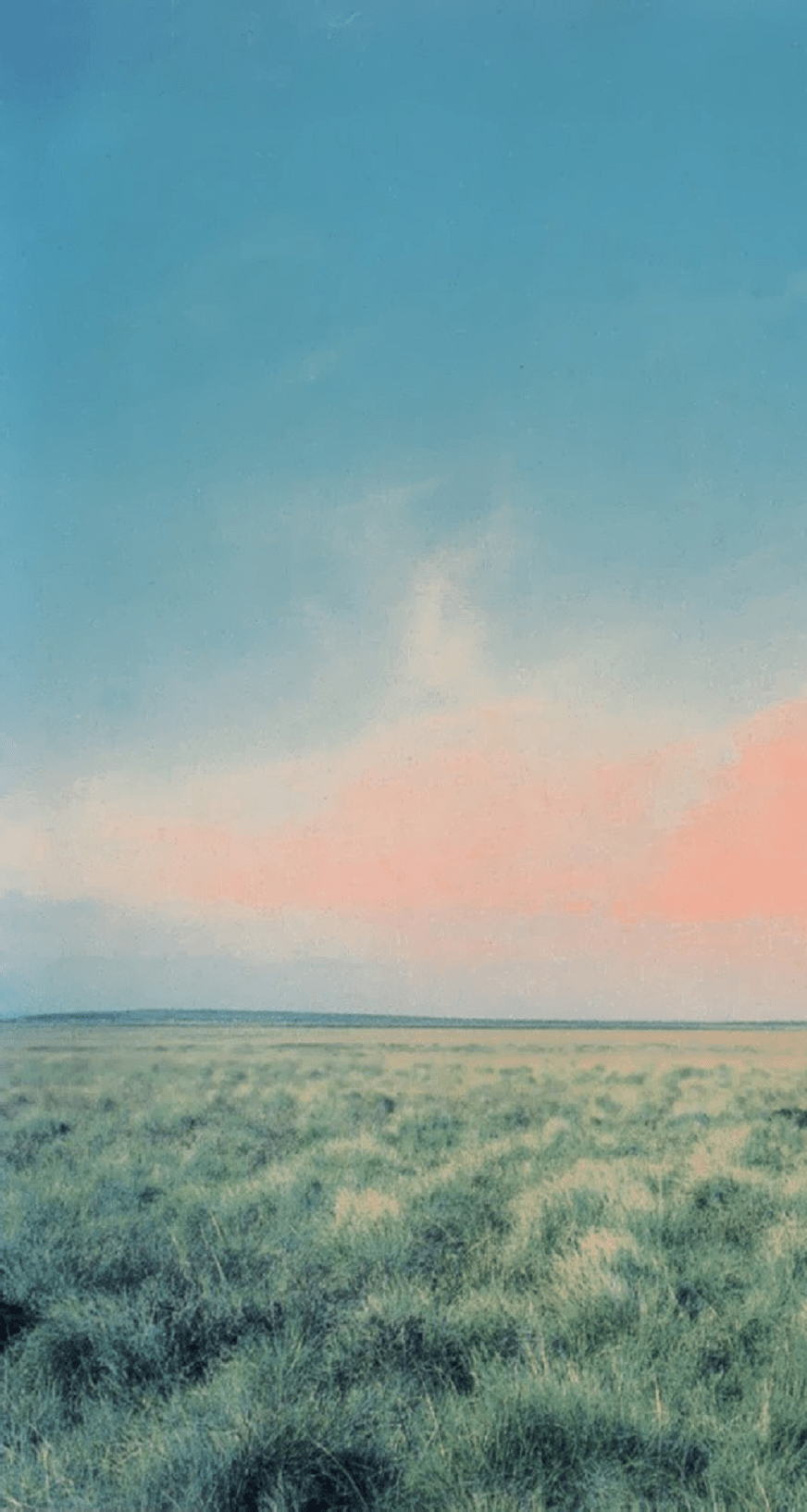 Whatever Wallpapers Top Free Whatever Backgrounds WallpaperAccess