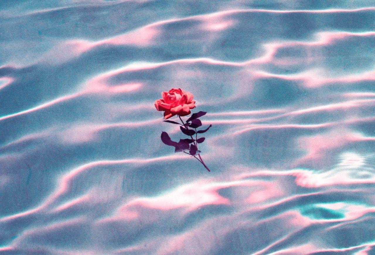 Water Aesthetic Tumblr Rose Wallpapers Top Free Water Aesthetic