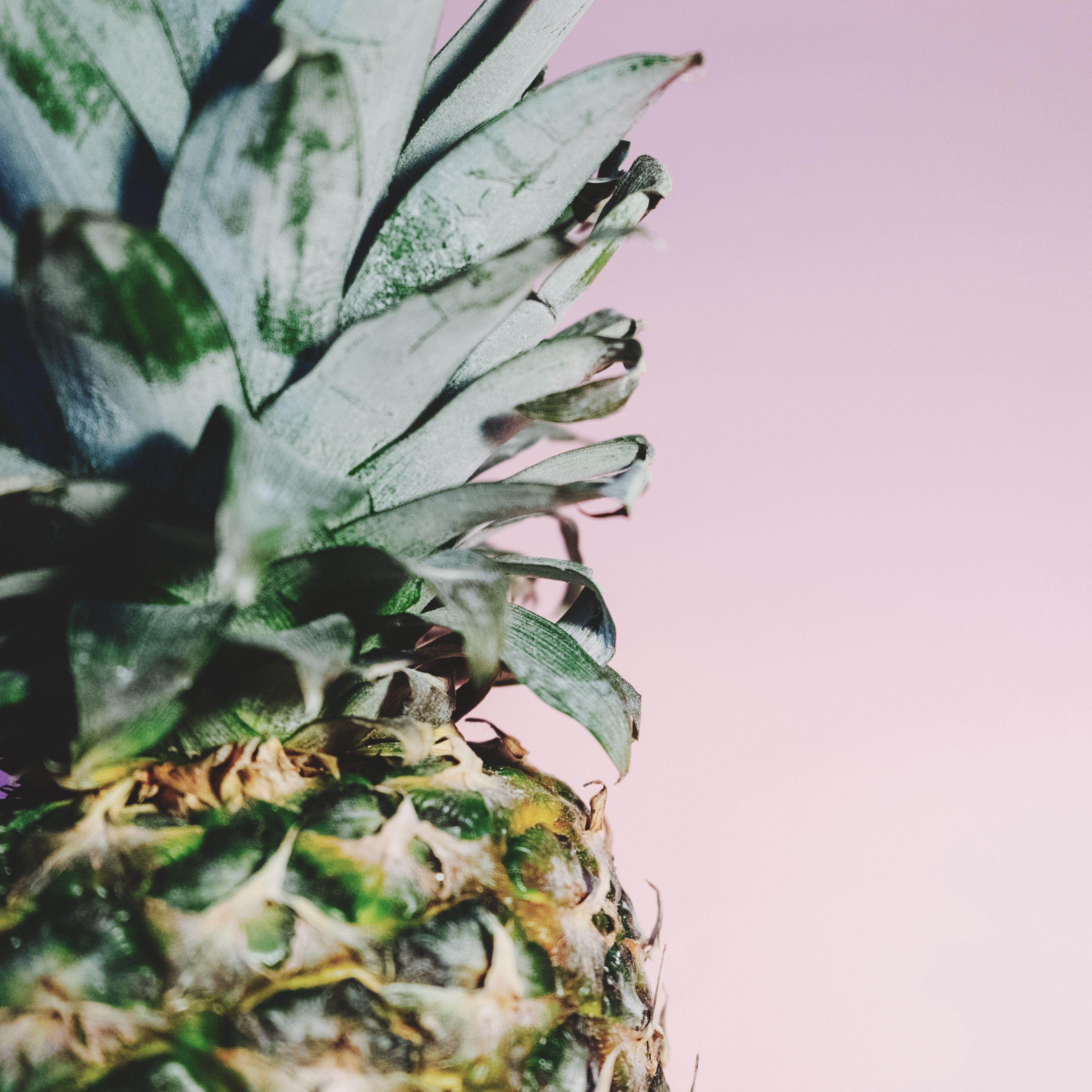 Minimalist Pineapple Wallpapers Top Free Minimalist Pineapple