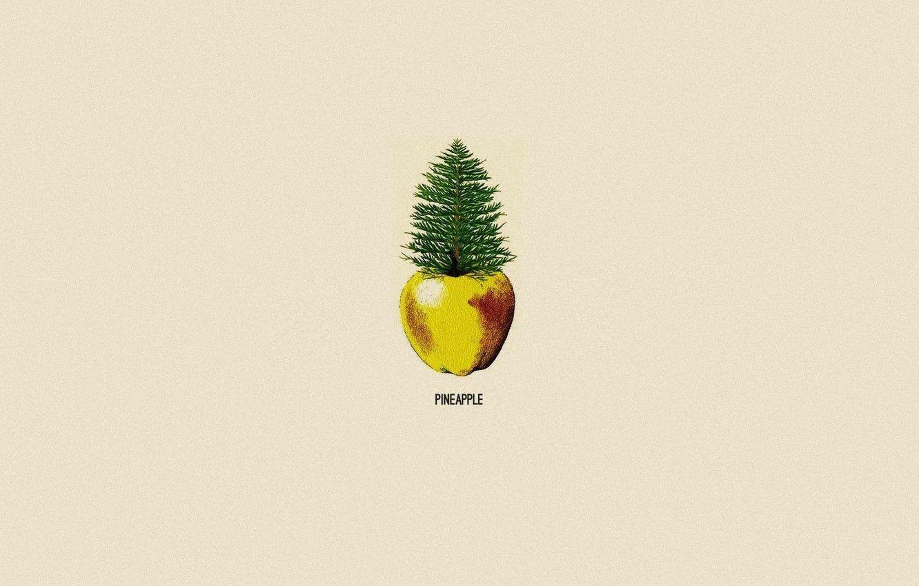 Minimalist Pineapple Wallpapers Top Free Minimalist Pineapple