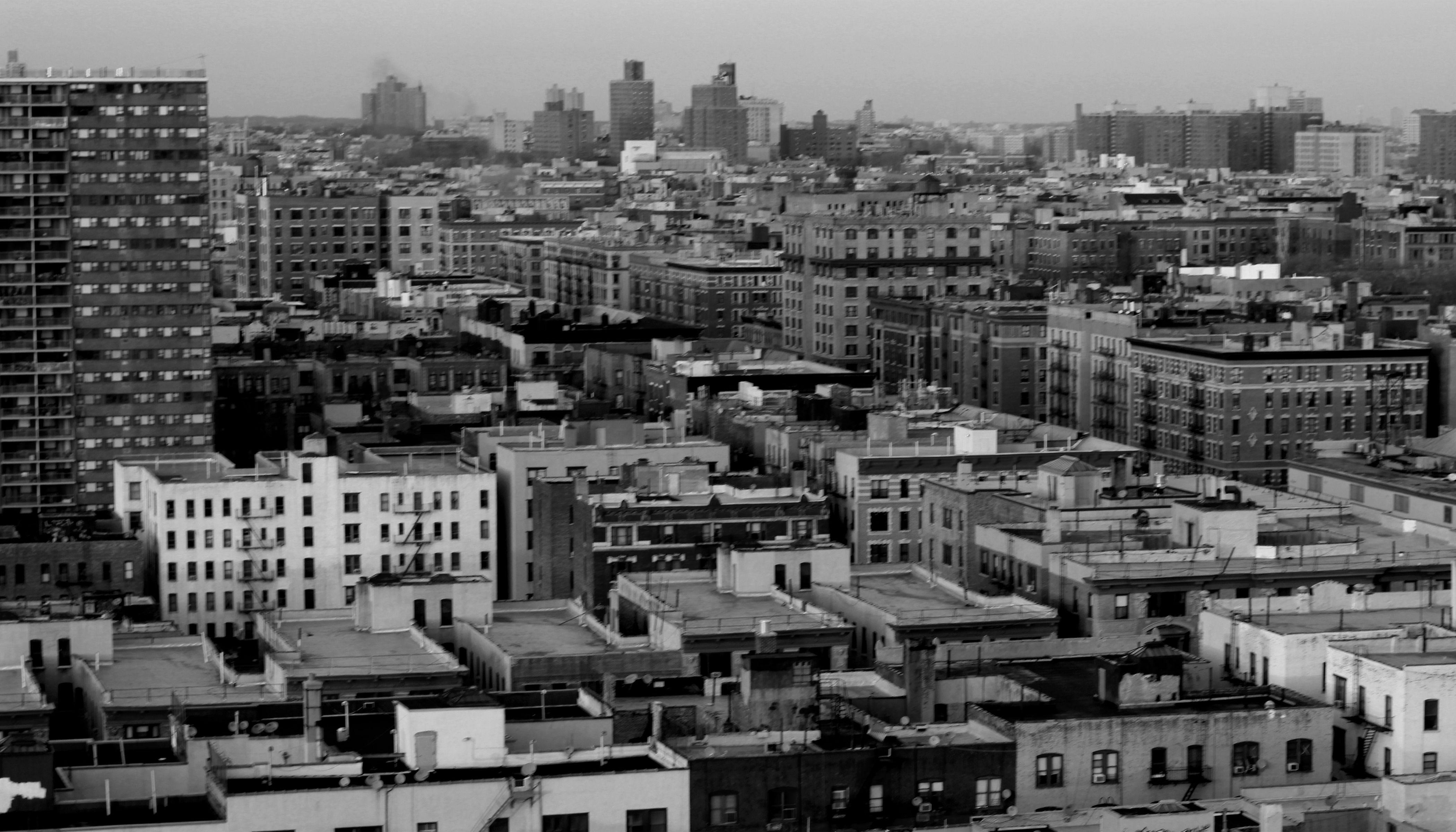 Harlem Wallpapers Top Free Harlem Backgrounds WallpaperAccess