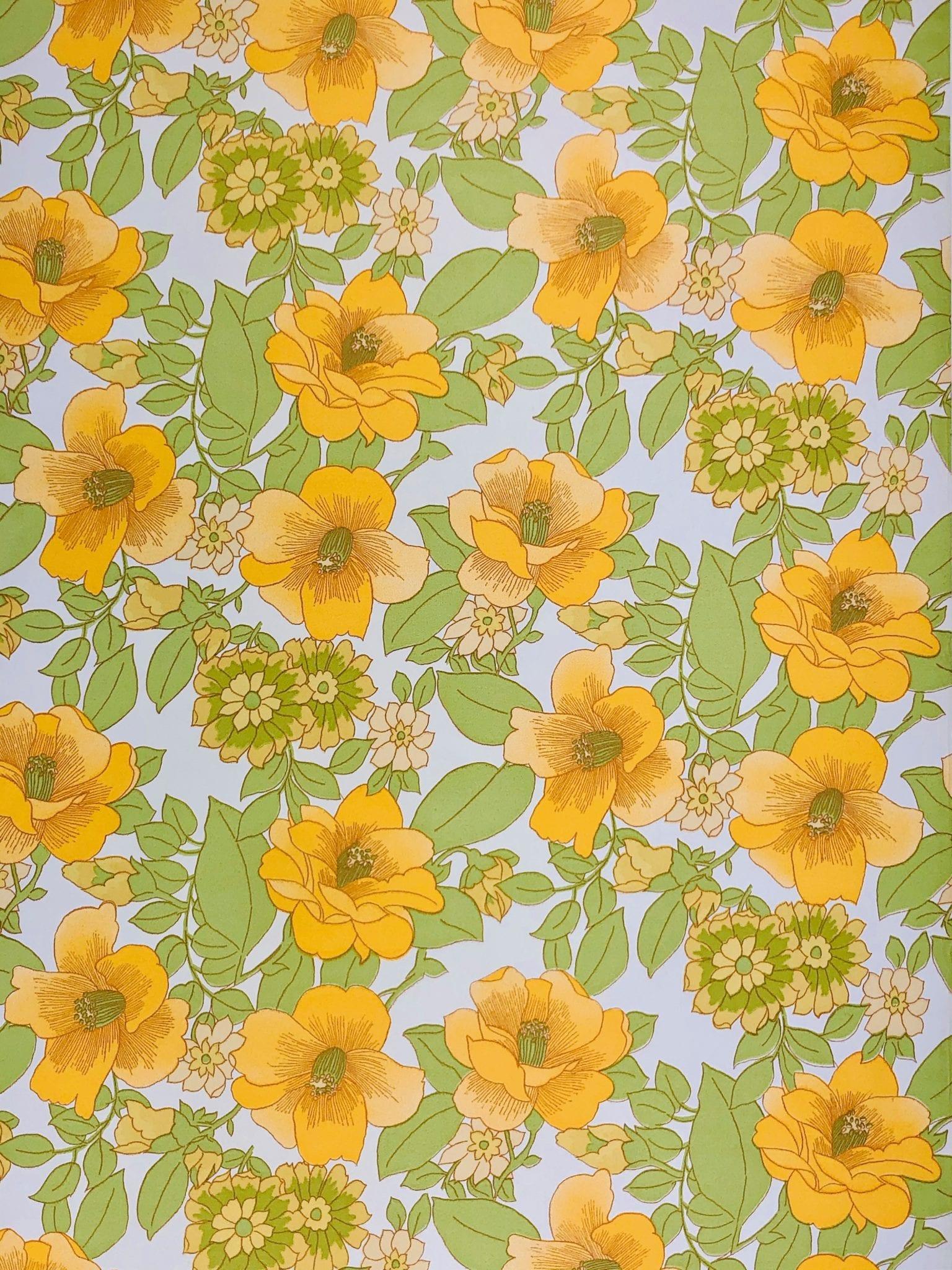 Orange Flower Wallpapers Top Free Orange Flower Backgrounds