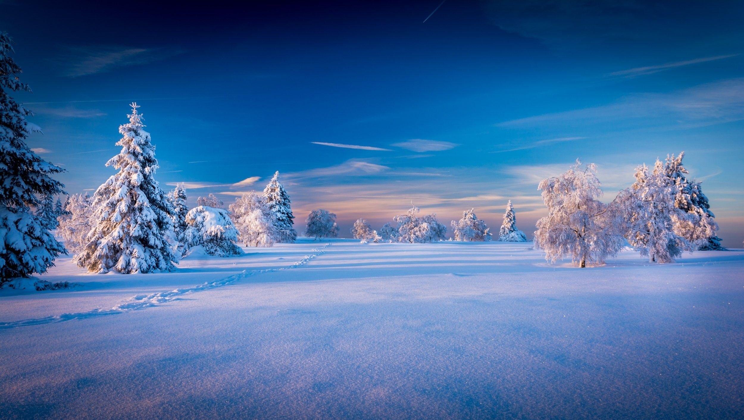 3D Winter Wallpapers Top Free 3D Winter Backgrounds WallpaperAccess