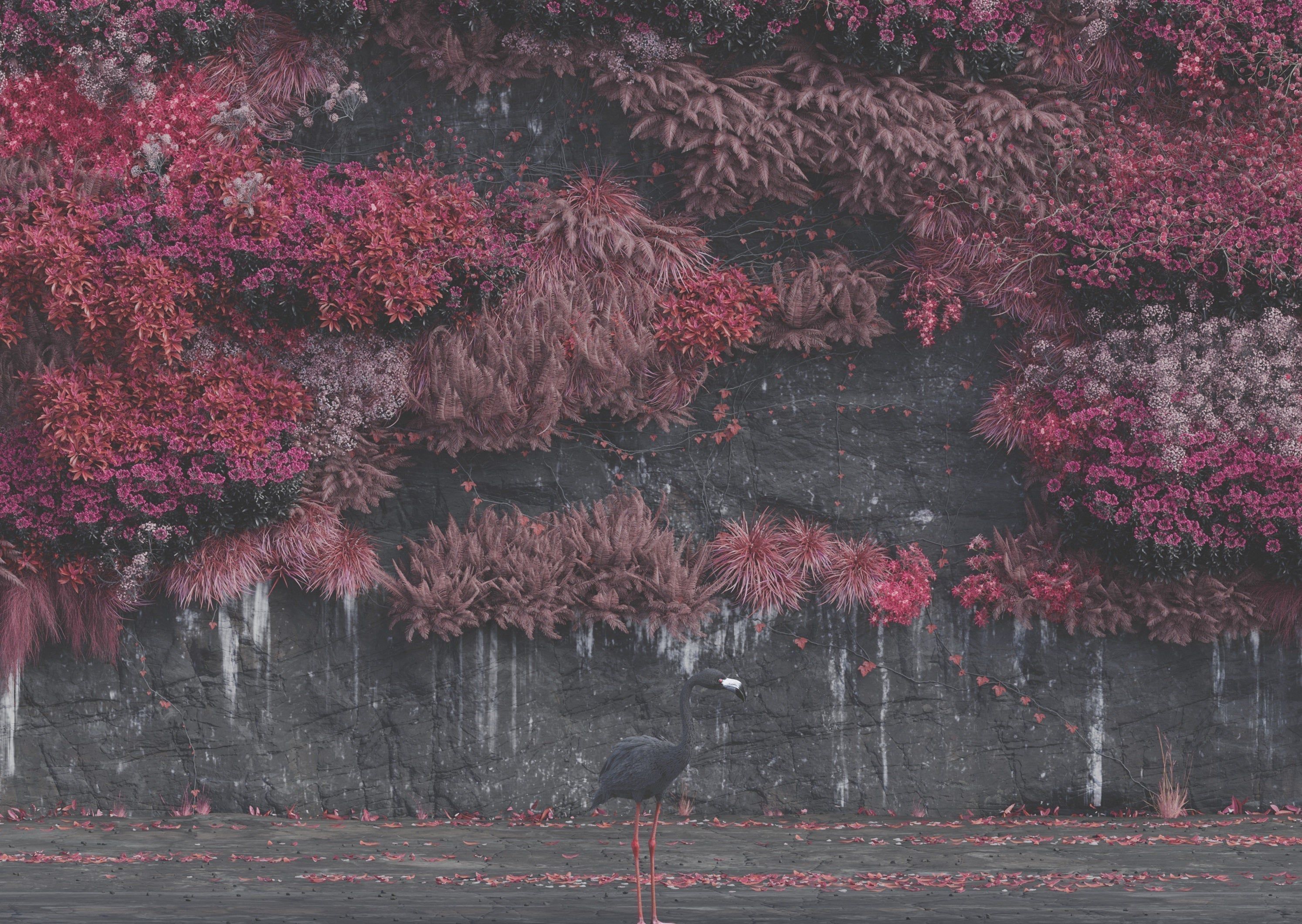 Even In Arcadia Wallpapers Top Free Even In Arcadia Backgrounds