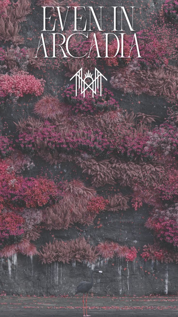 Even In Arcadia Wallpapers - Top Free Even In Arcadia Backgrounds