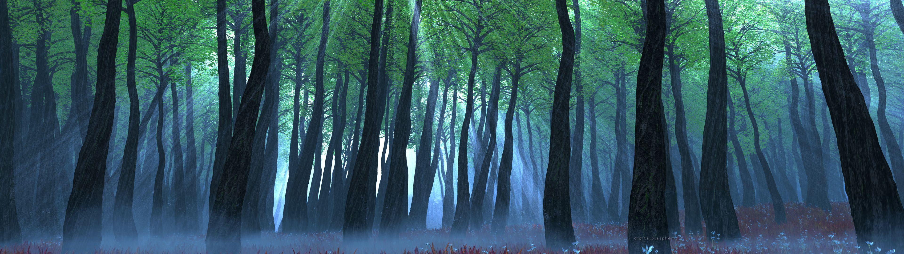 3840x1080 Forest Wallpapers Top Free 3840x1080 Forest Backgrounds