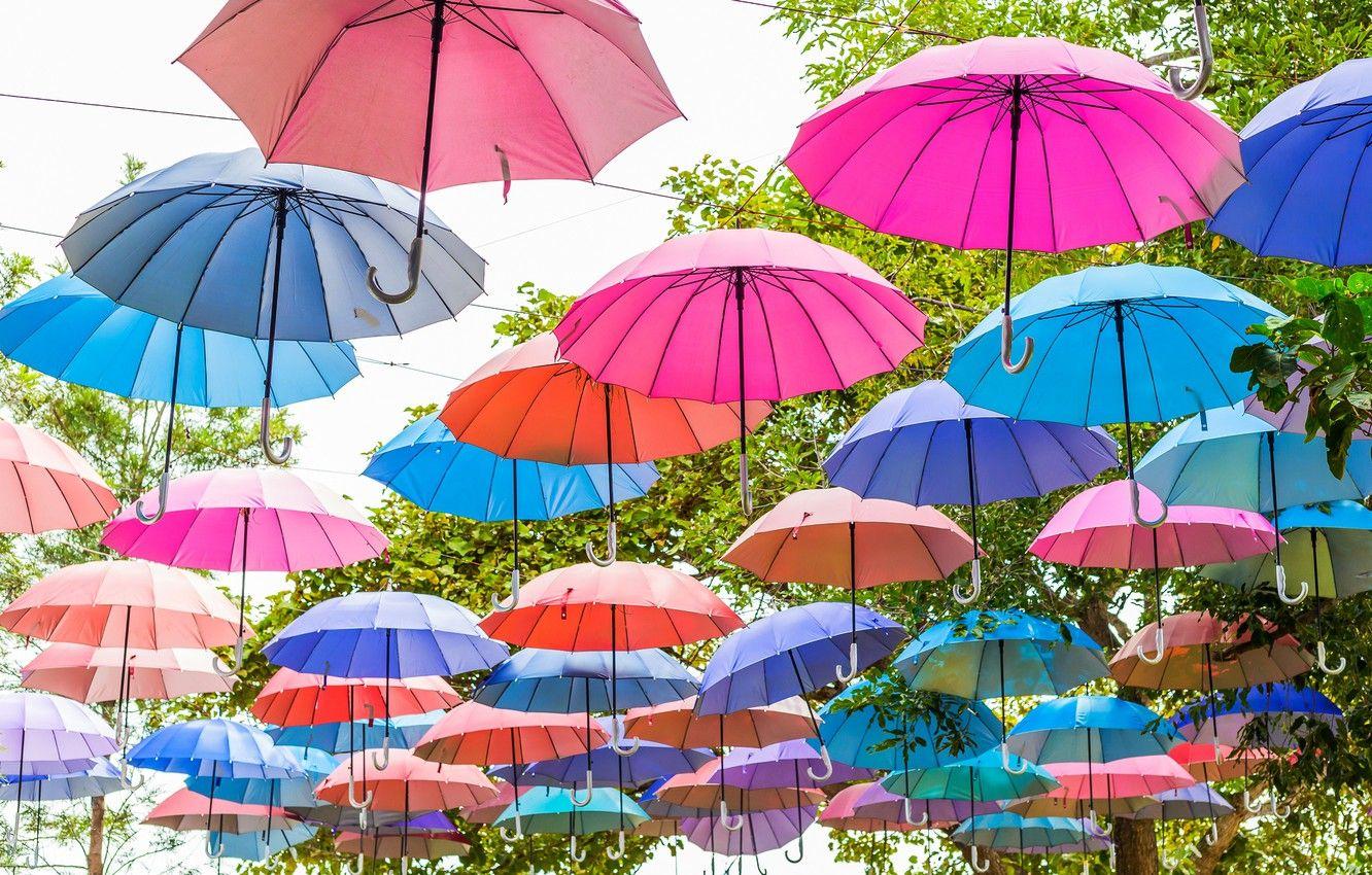 Colorful Umbrella Wallpapers Top Free Colorful Umbrella Backgrounds