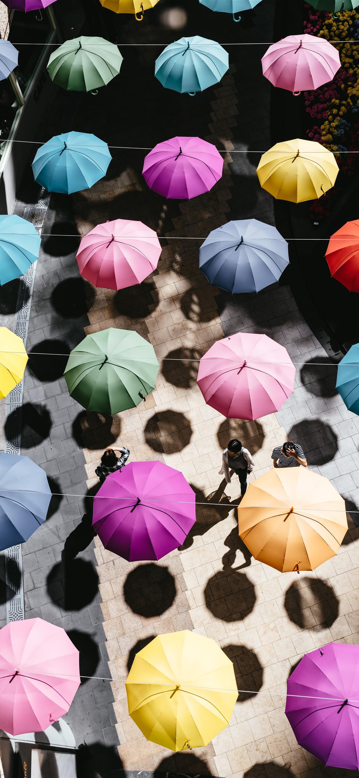Colorful Umbrella Wallpapers Top Free Colorful Umbrella Backgrounds