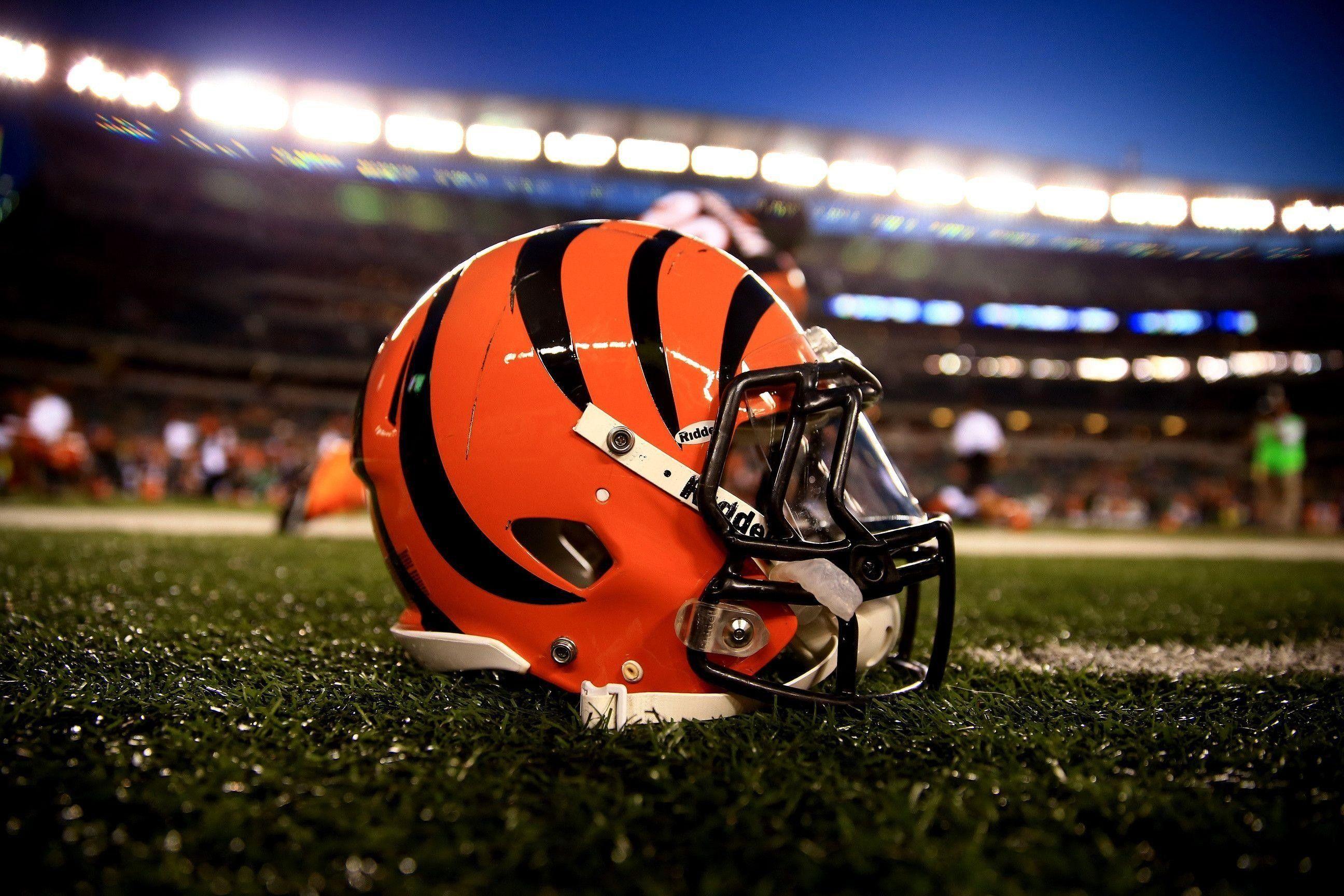 Bengals Wallpapers Top Free Bengals Backgrounds WallpaperAccess