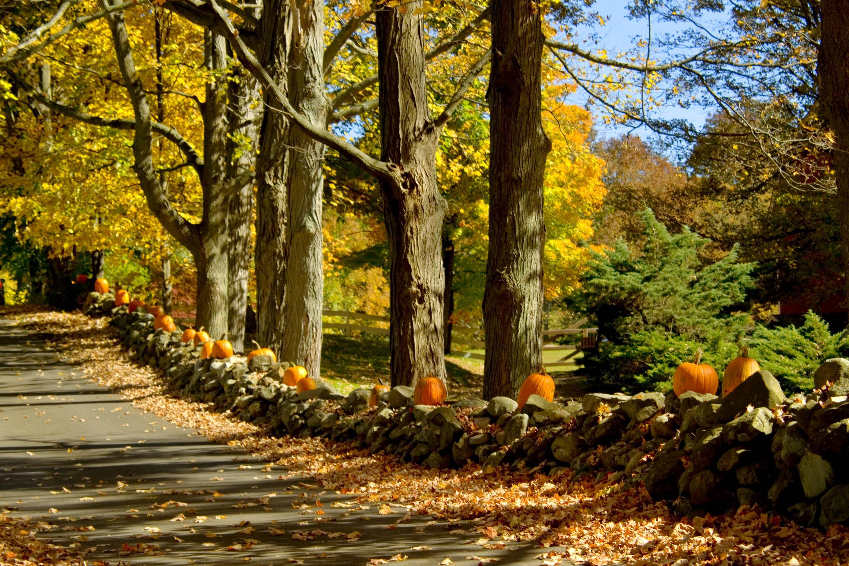 New England Autumn Wallpapers Top Free New England Autumn Backgrounds