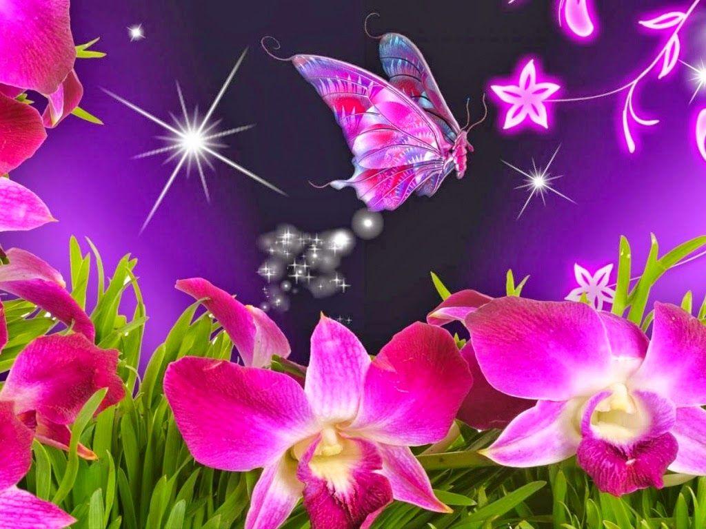 Animated Butterfly Wallpapers Top Free Animated Butterfly Backgrounds