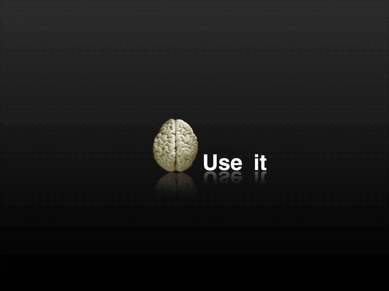 Dumb Wallpapers Top Free Dumb Backgrounds WallpaperAccess
