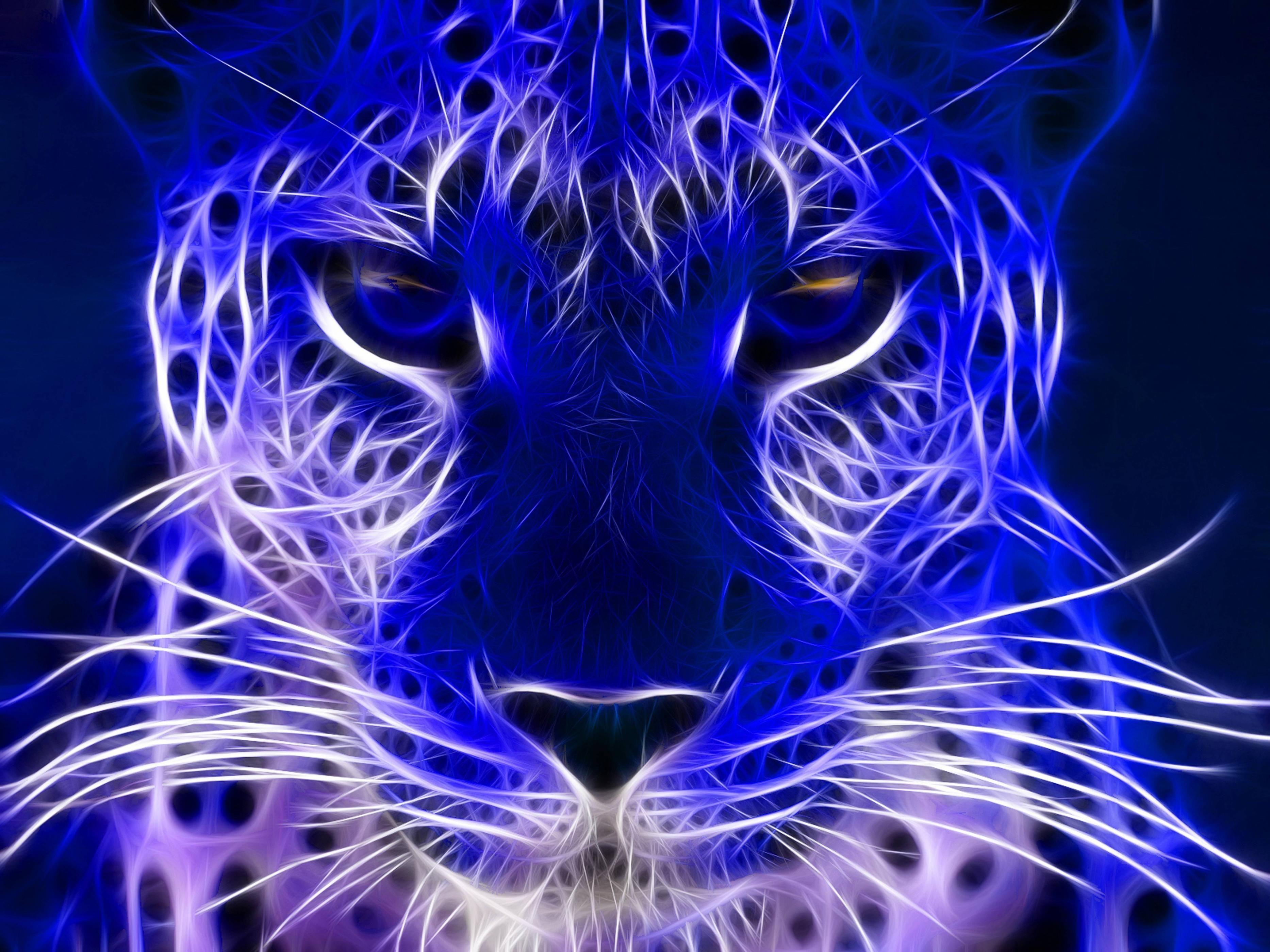 Blue Tiger Wallpapers Top Free Blue Tiger Backgrounds WallpaperAccess