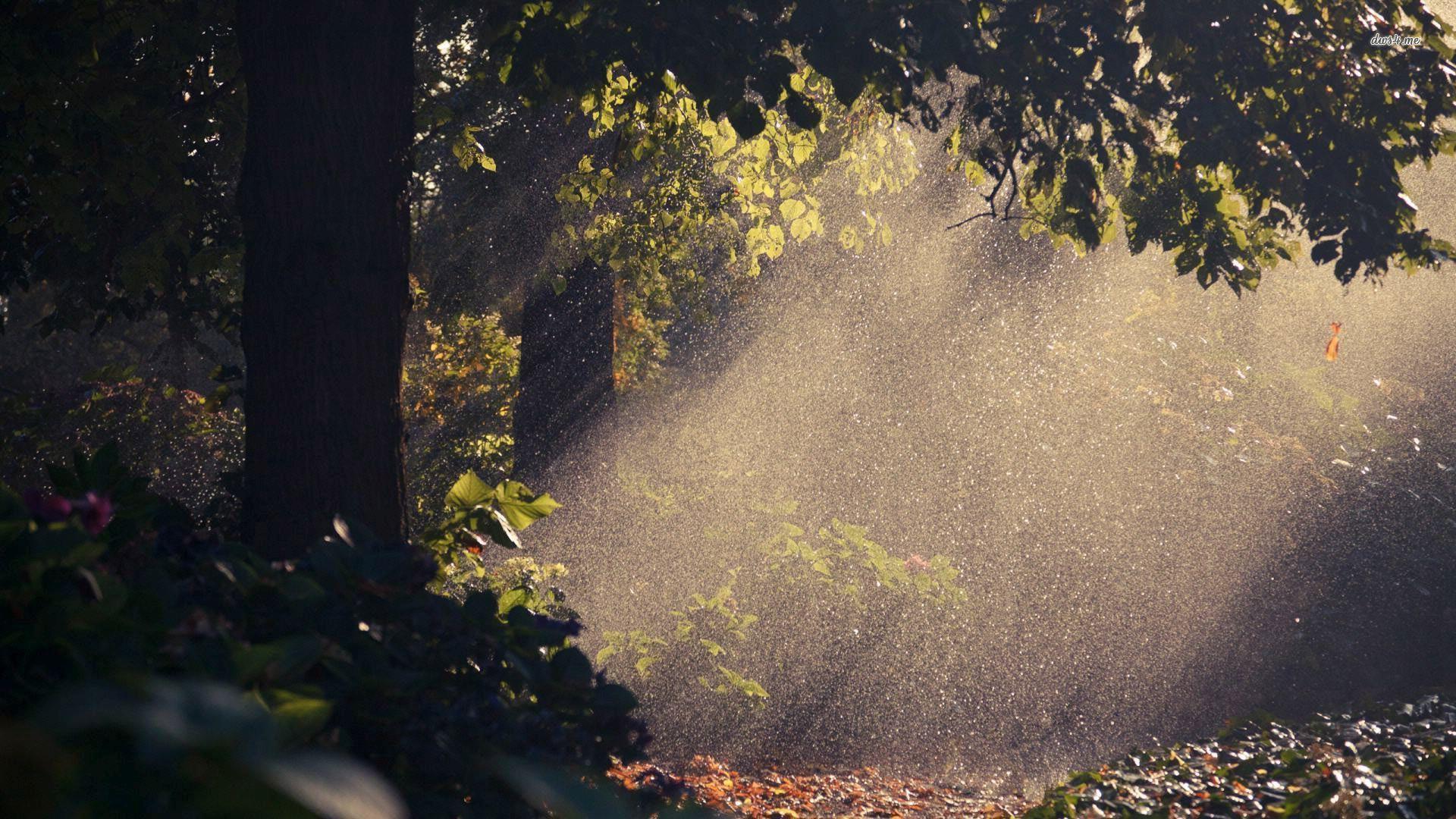 Live Rain Wallpapers Top Free Live Rain Backgrounds WallpaperAccess