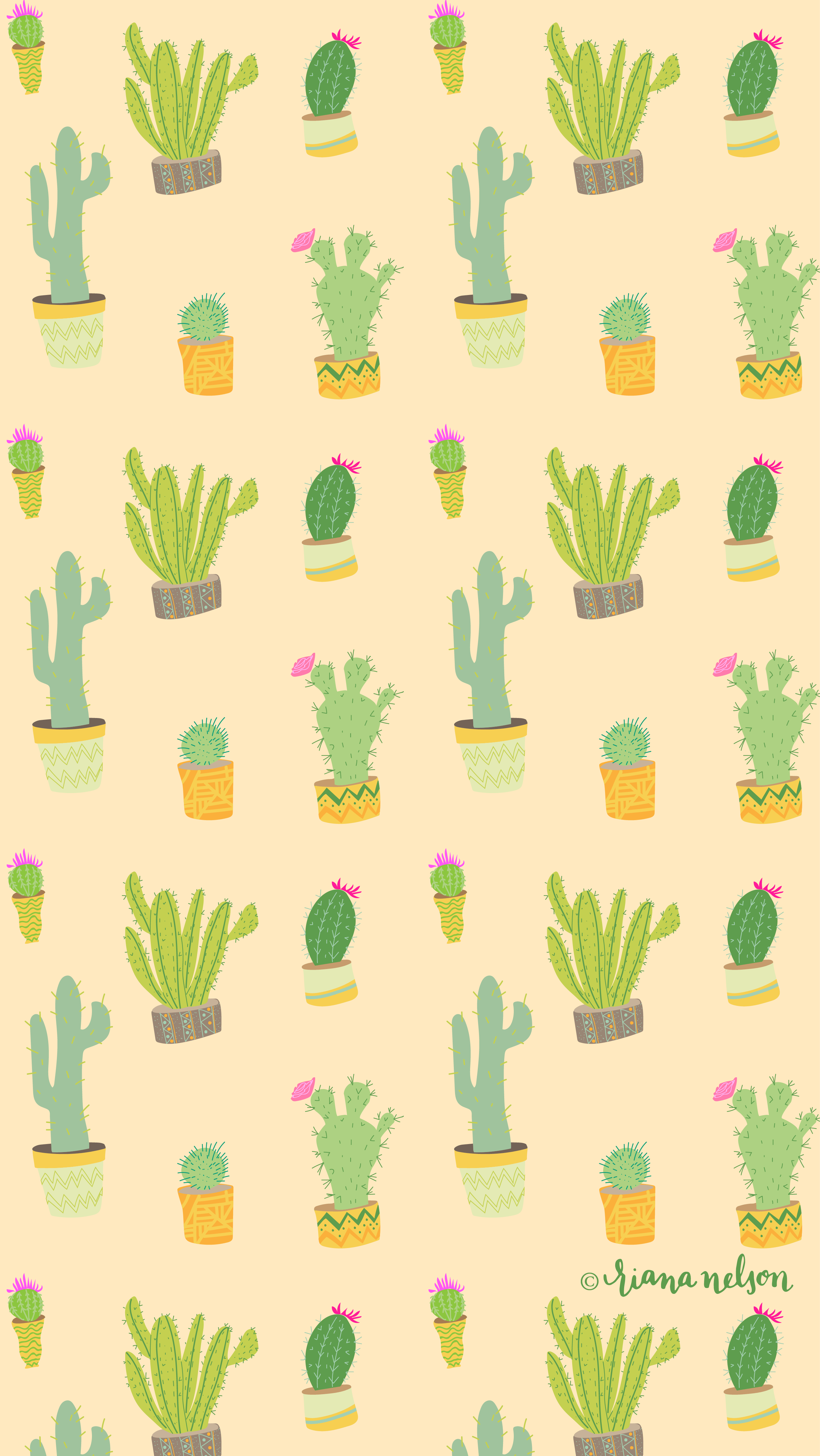Cactus Wallpapers Top Free Cactus Backgrounds WallpaperAccess
