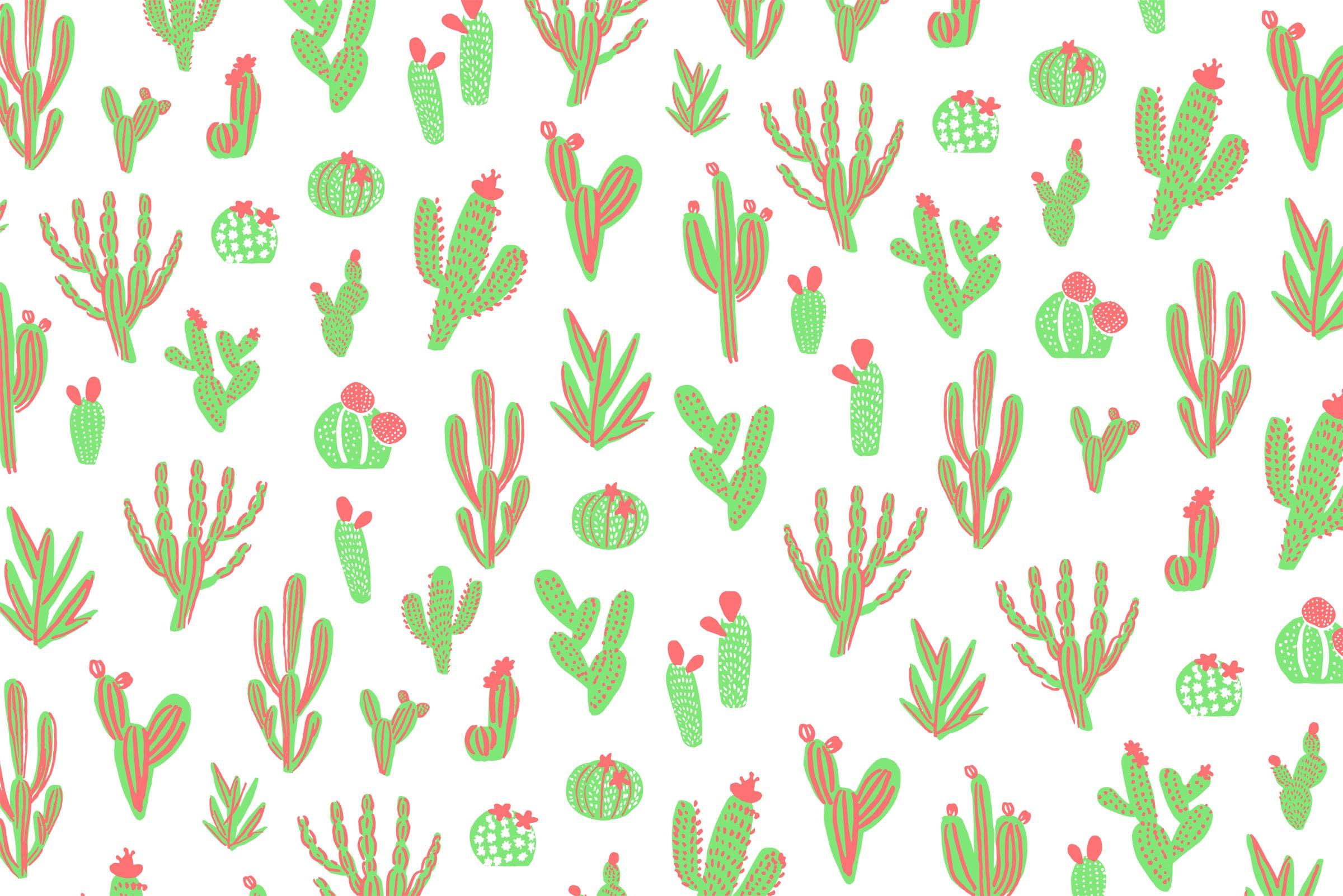 Cactus Wallpapers Top Free Cactus Backgrounds WallpaperAccess