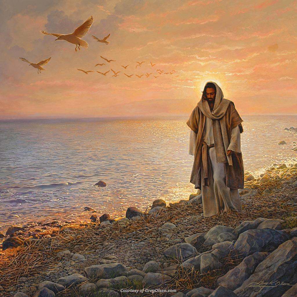 LDS Wallpapers Top Free LDS Backgrounds WallpaperAccess