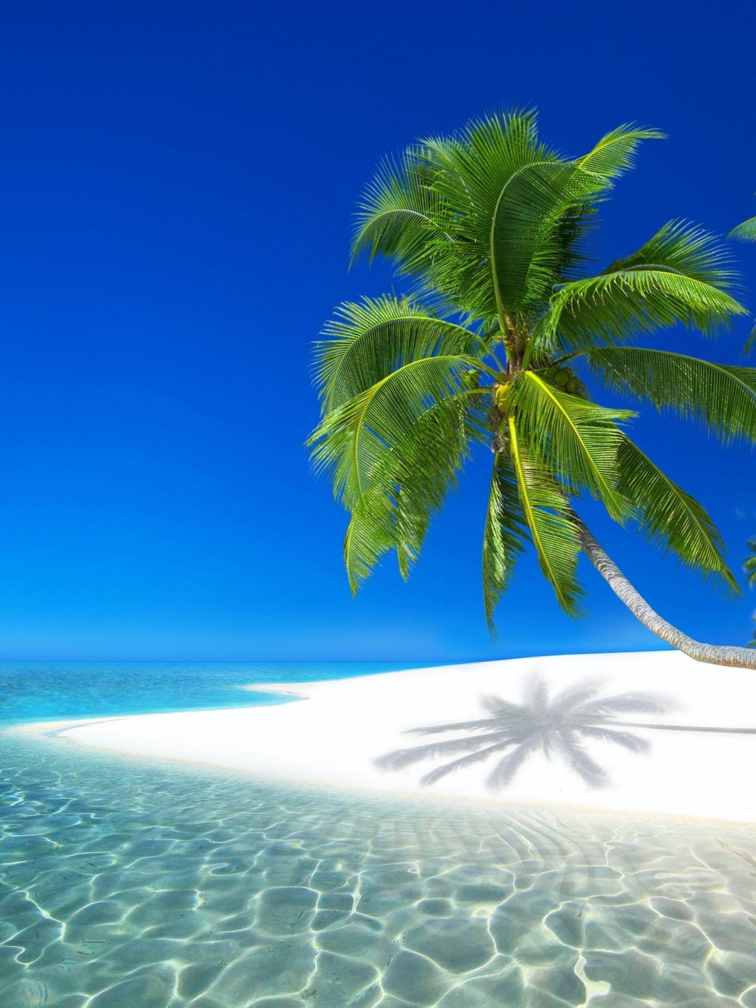 Beach iPad Wallpapers Top Free Beach iPad Backgrounds WallpaperAccess