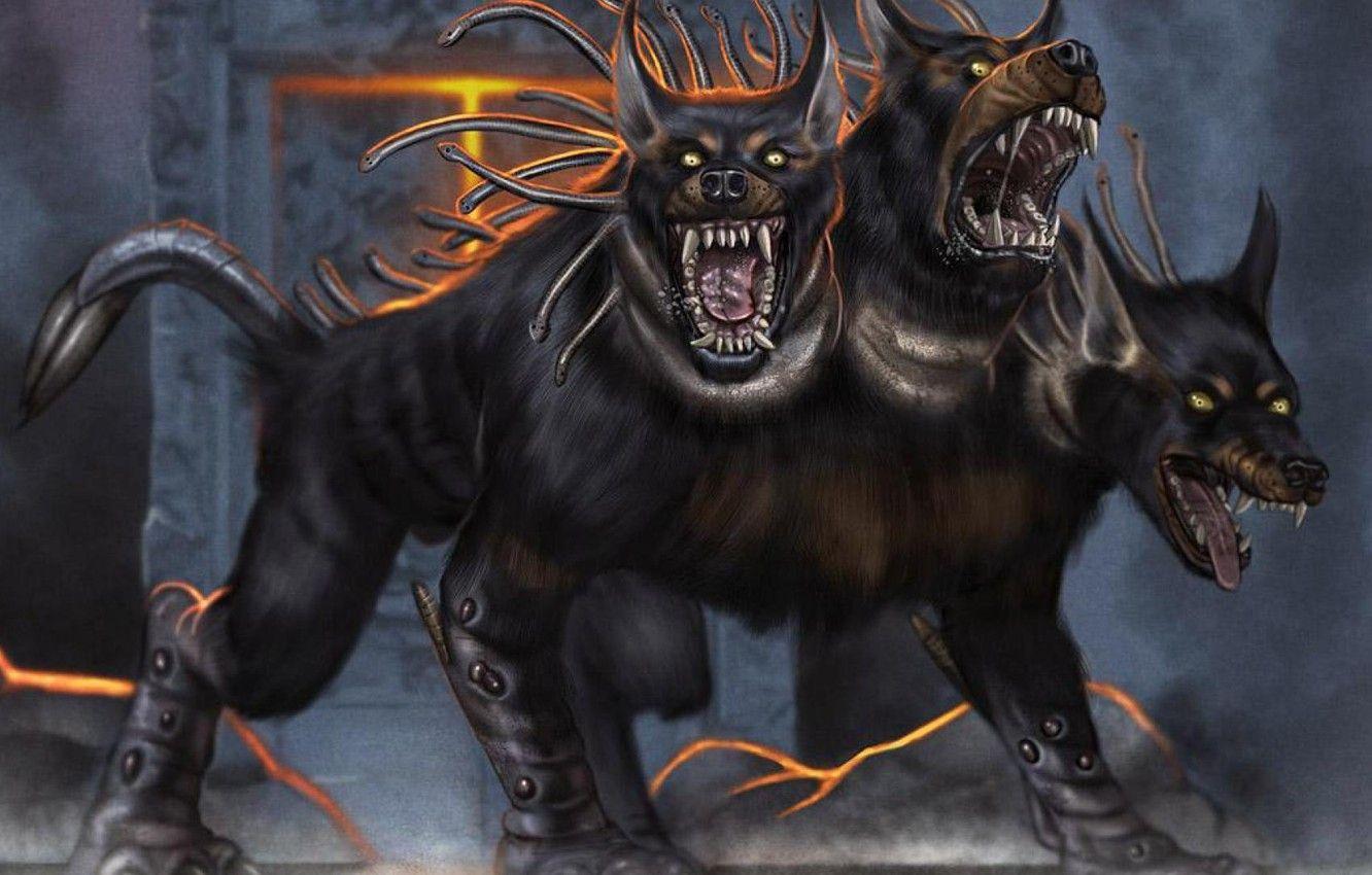 Cerberus Wallpapers Top Free Cerberus Backgrounds WallpaperAccess