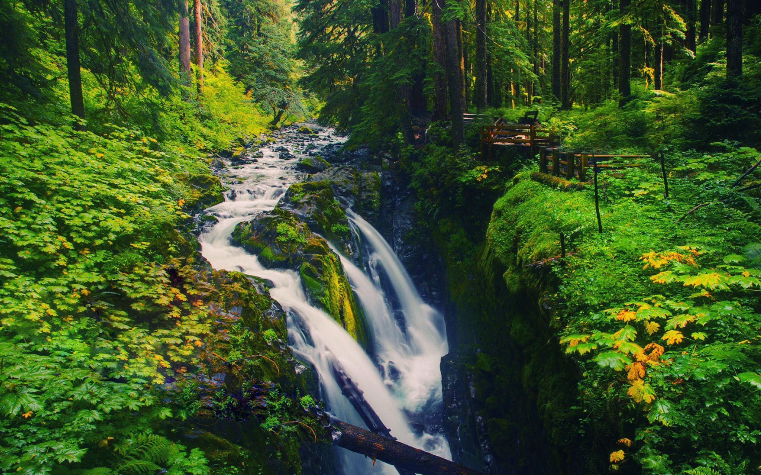 Olympic National Park Wallpapers Top Free Olympic National Park