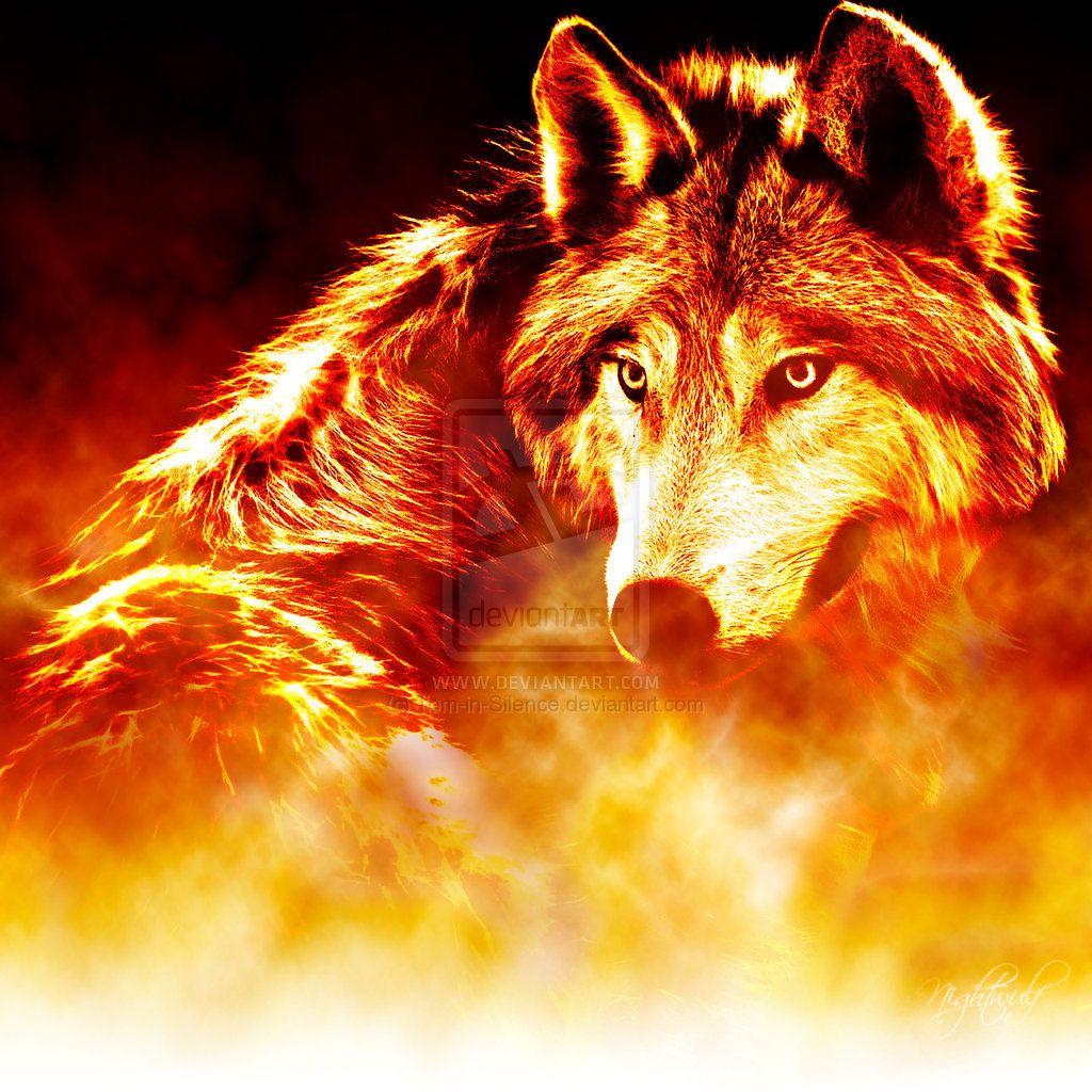 Red and Blue Wolf Wallpapers Top Free Red and Blue Wolf Backgrounds WallpaperAccess