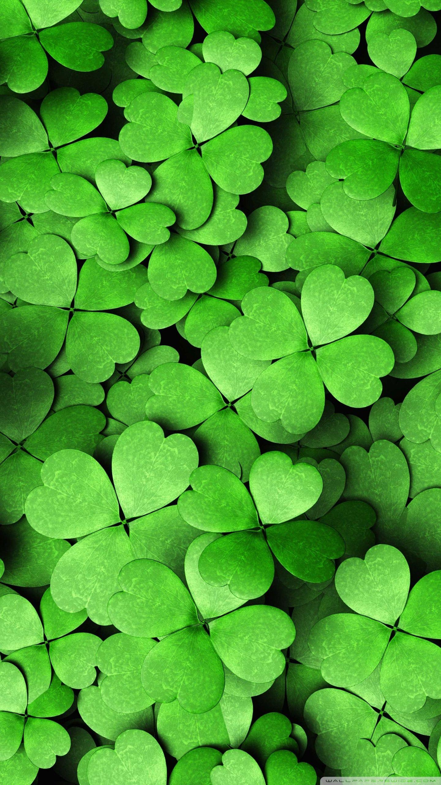 Four Leaf Clover Wallpapers Top Free Four Leaf Clover Backgrounds