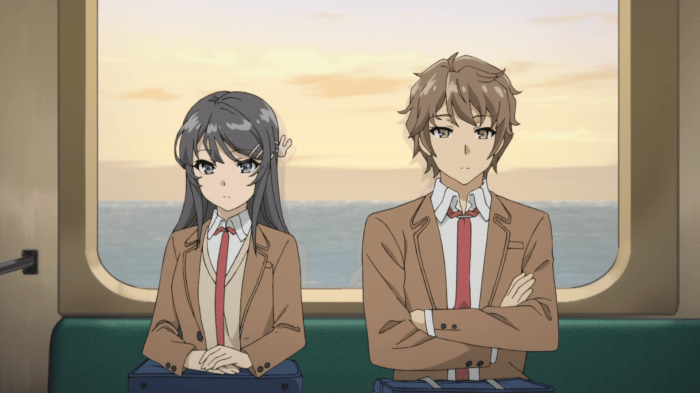 Rascal Does Not Dream of Bunny Girl Senpai Wallpapers - Top Free Rascal ... Ngwanona mp3 download fakaza