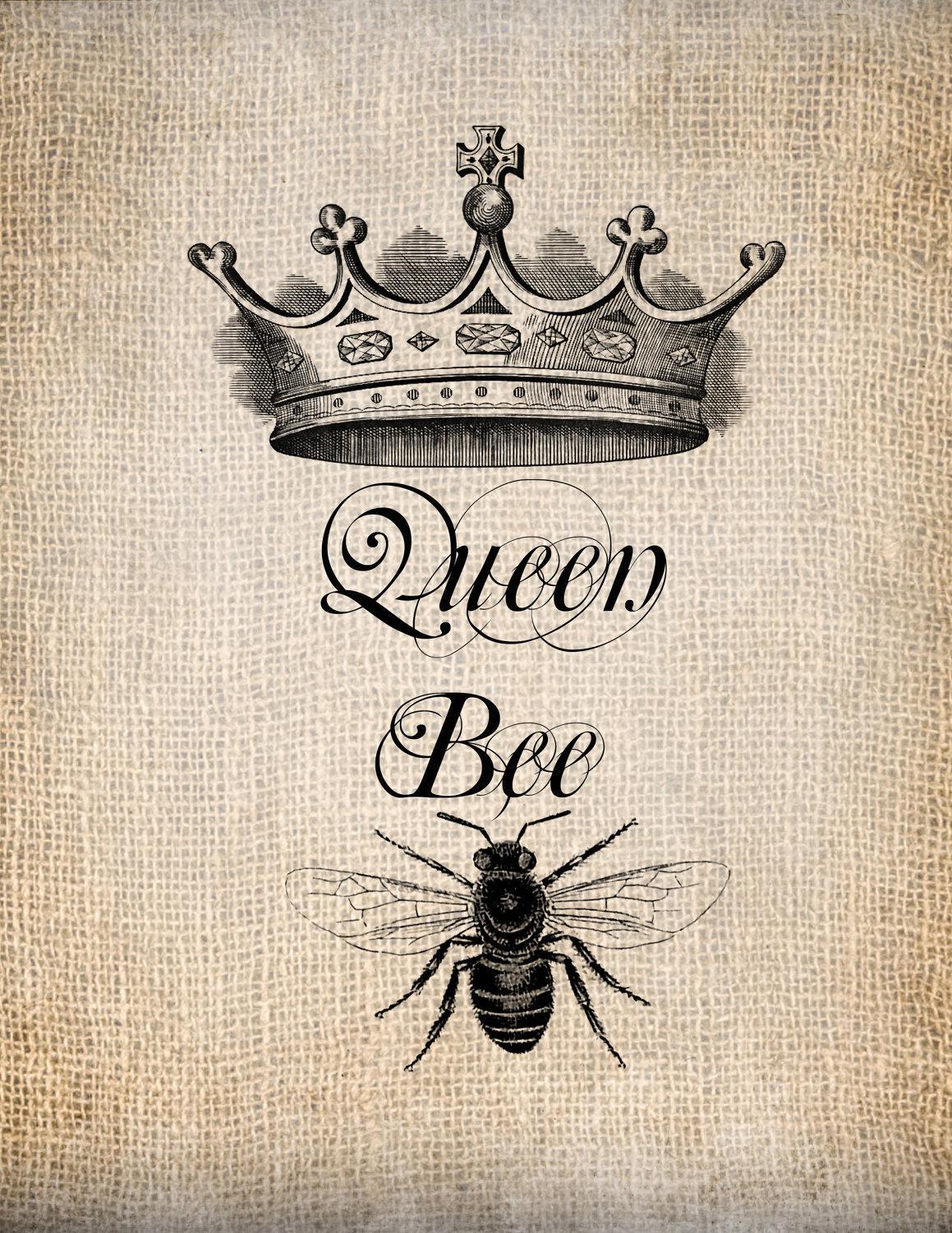 Queen Bee Wallpapers Top Free Queen Bee Backgrounds WallpaperAccess