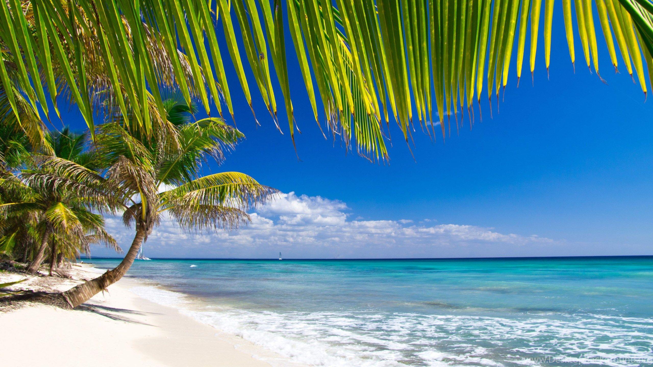 Caribbean Beach Wallpapers Top Free Caribbean Beach
