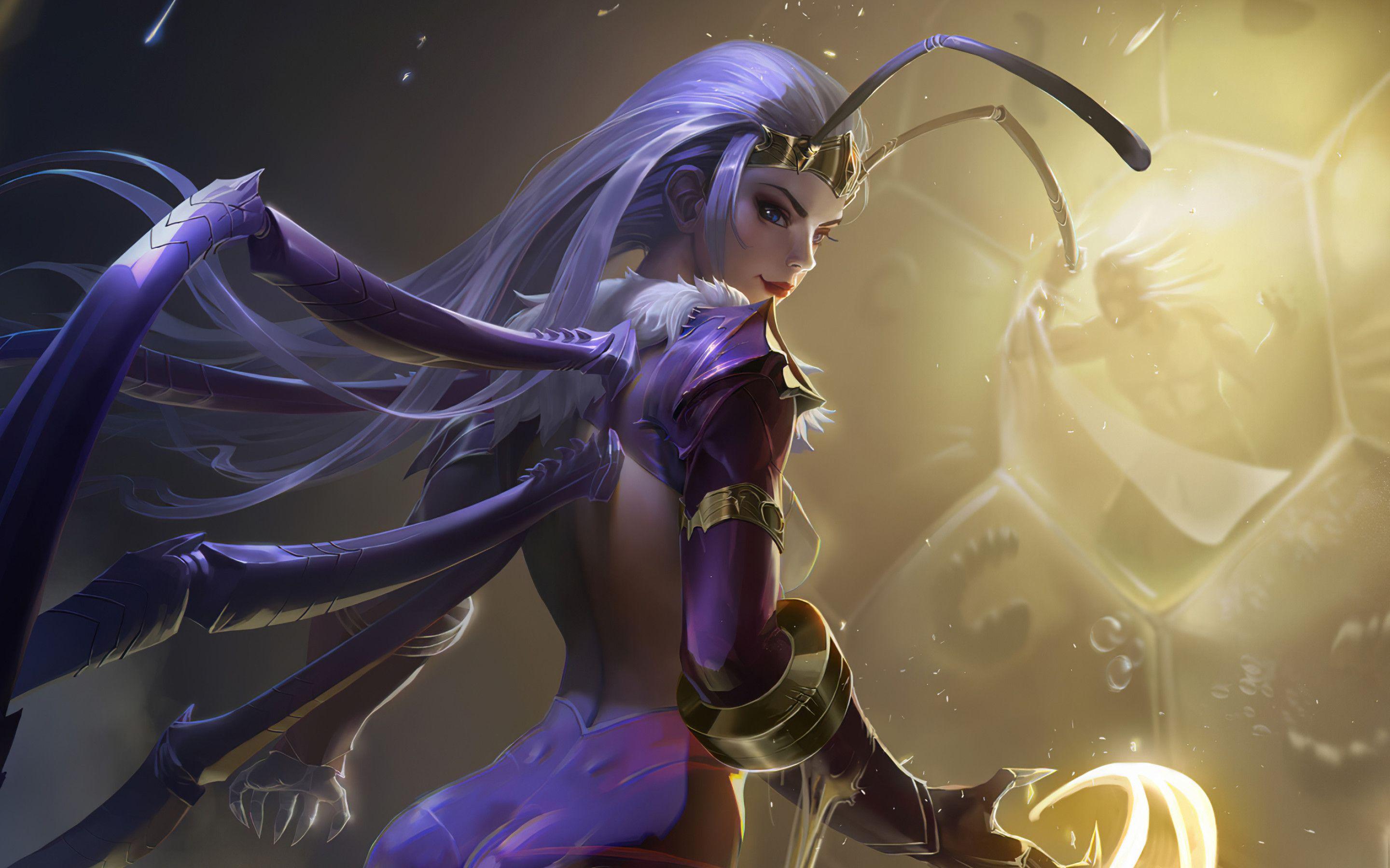 Queen Bee Wallpapers Top Free Queen Bee Backgrounds WallpaperAccess