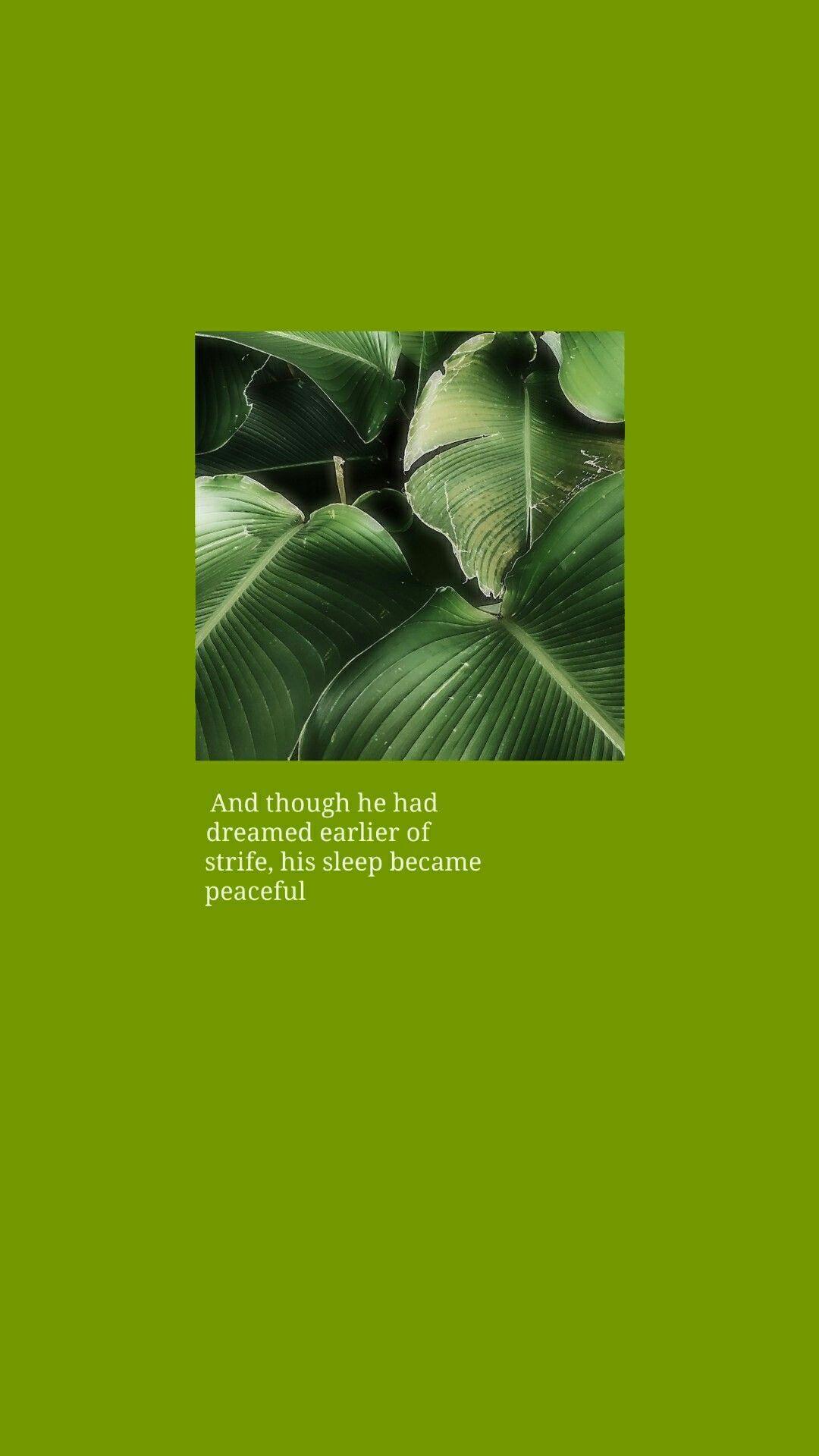 Tumblr Green Wallpapers Top Free Tumblr Green Backgrounds